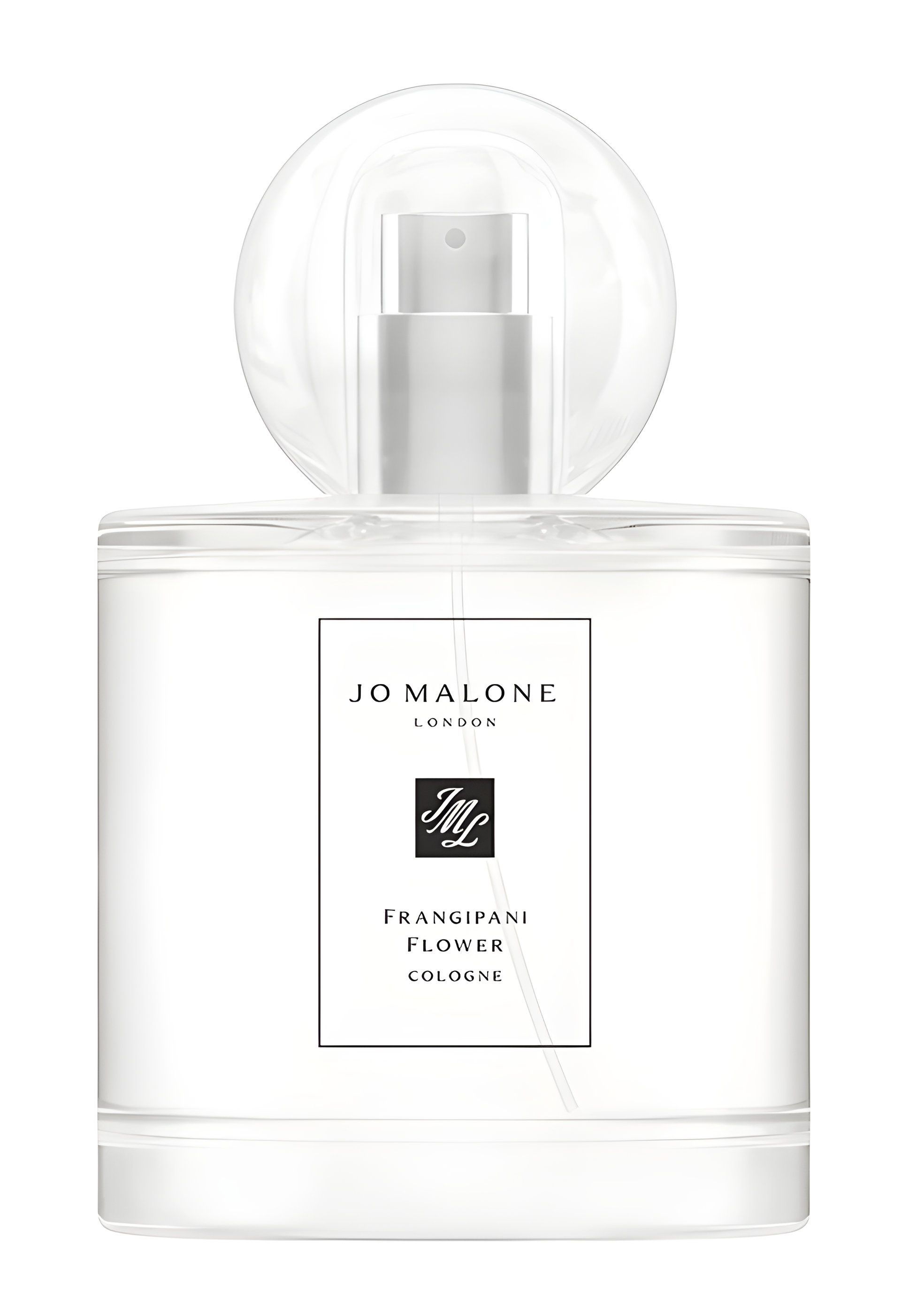 Picture of Frangipani Flower fragrance