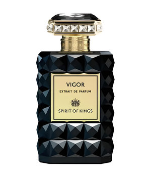 Vigor by Spirit Of Kings perfume bottle