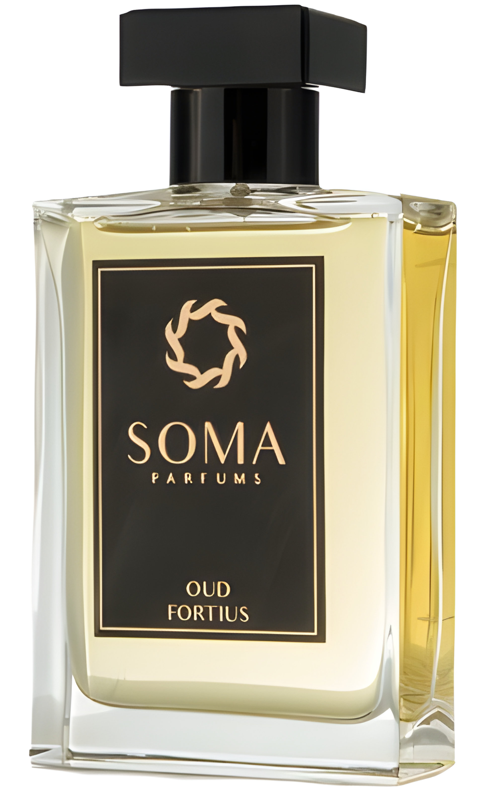 Picture of Oud Fortius fragrance