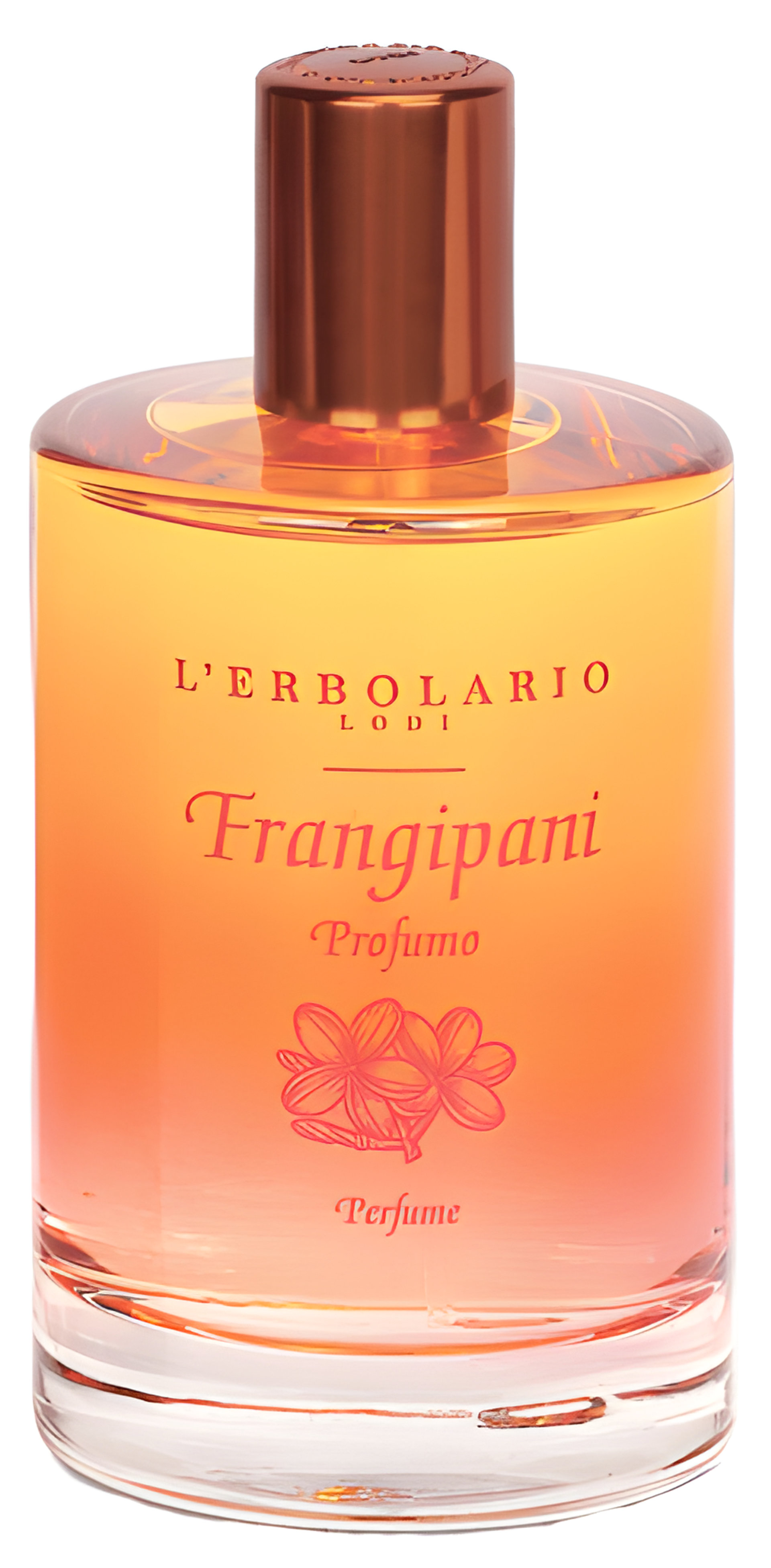 Picture of Frangipani fragrance