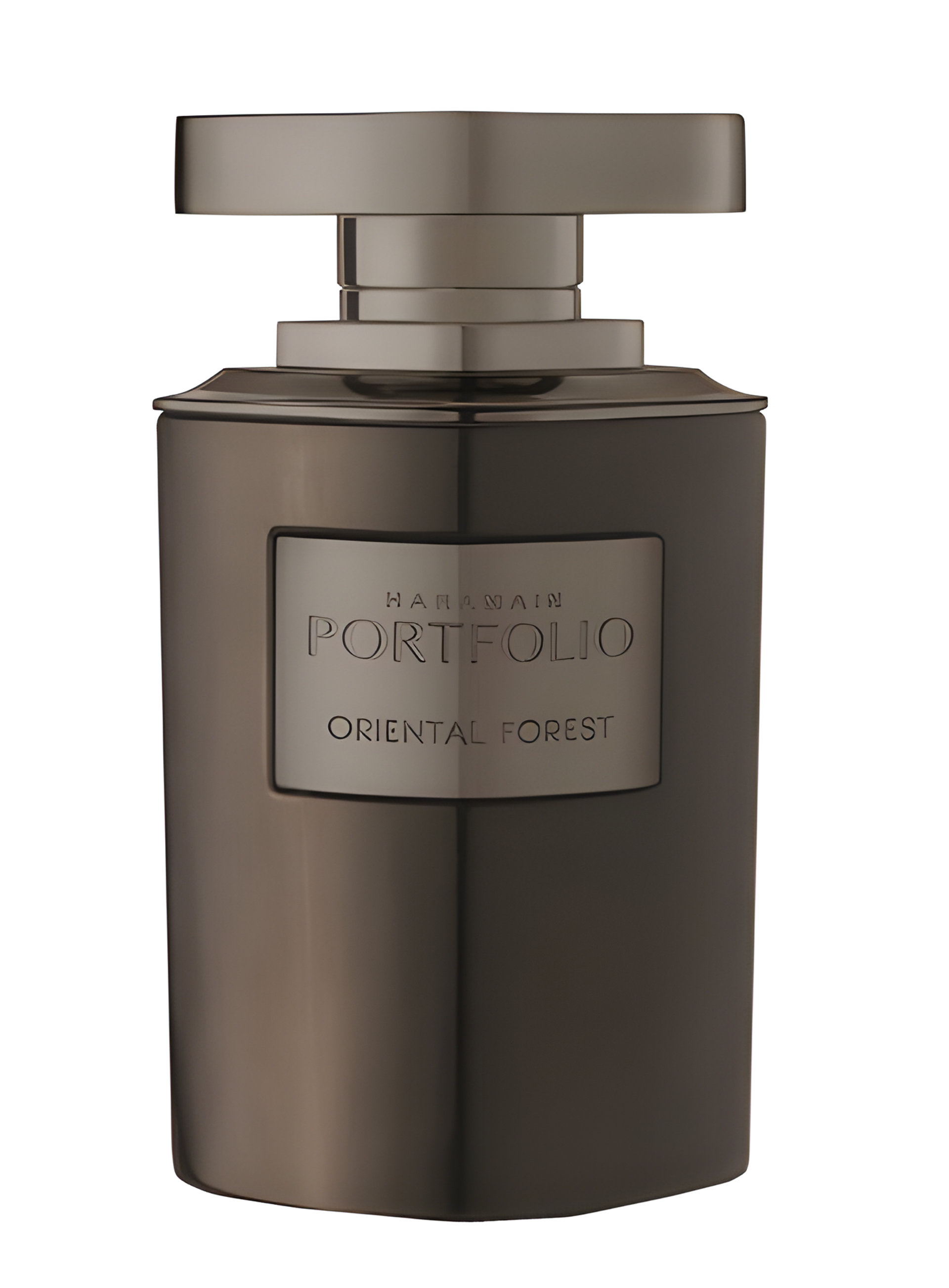Picture of Portfolio Oriental Forest fragrance