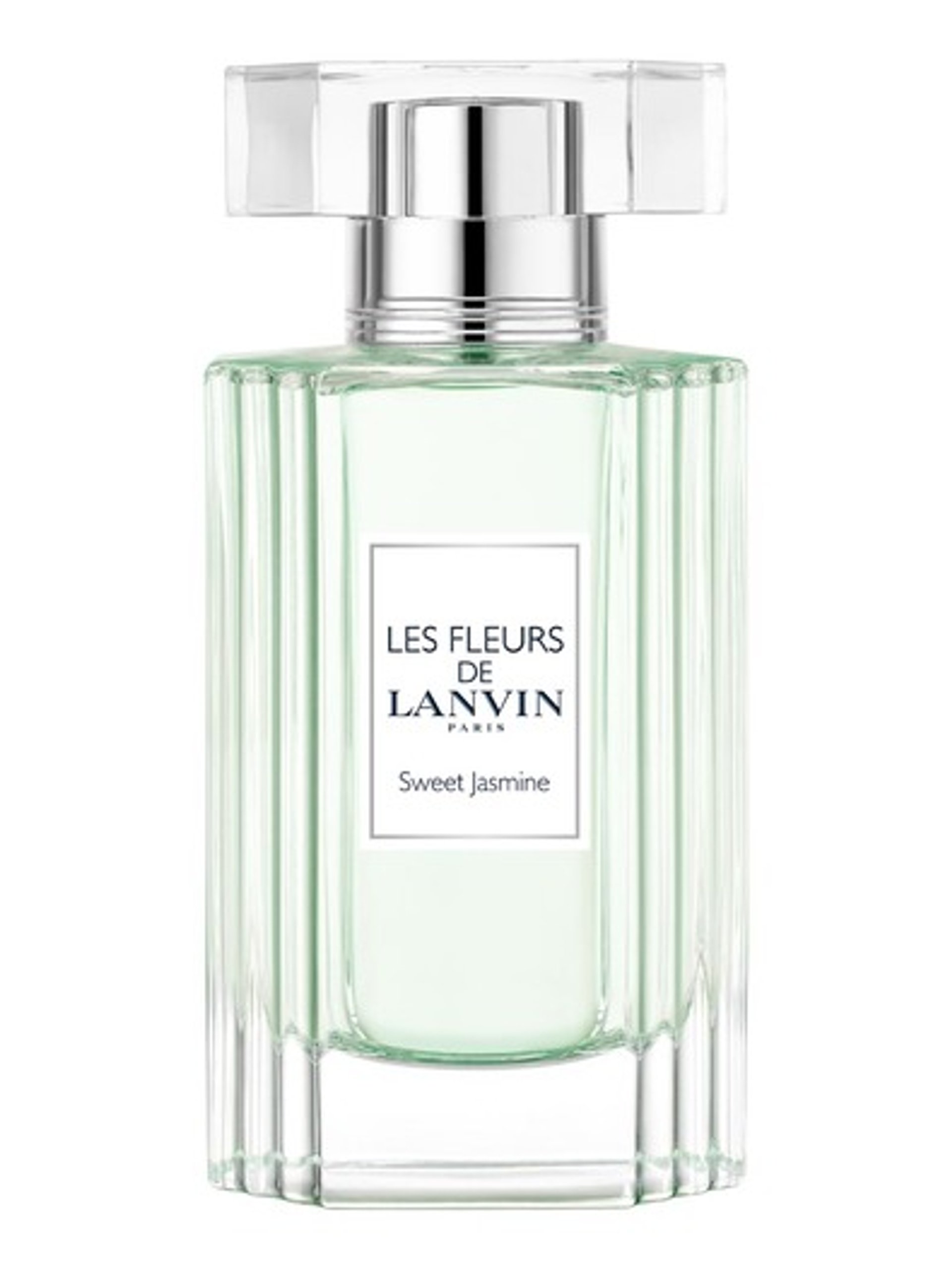 Picture of Sweet Jasmine fragrance