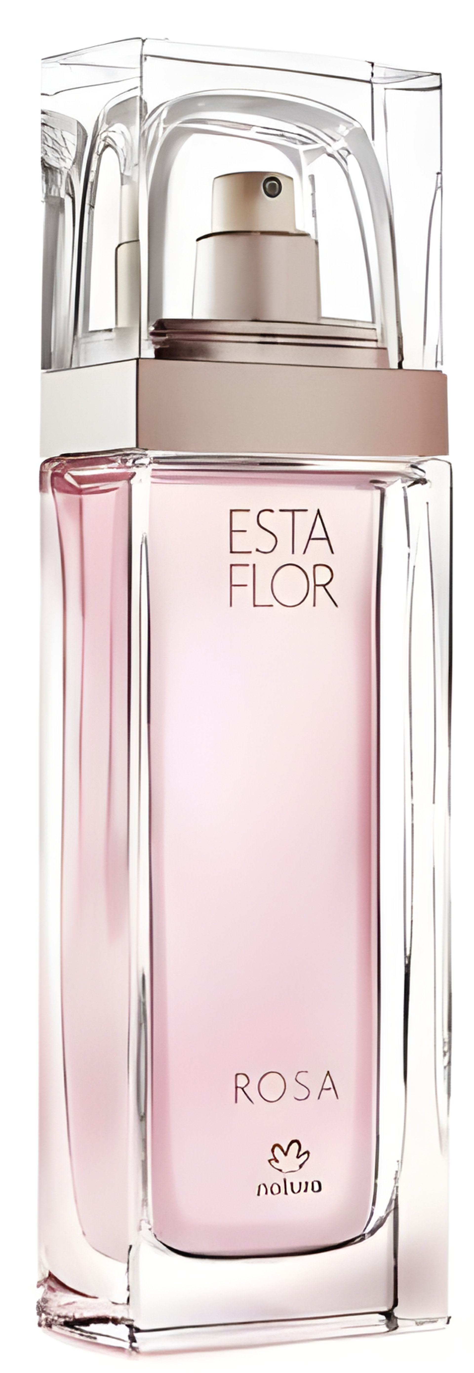 Esta Flor Rosa by Natura