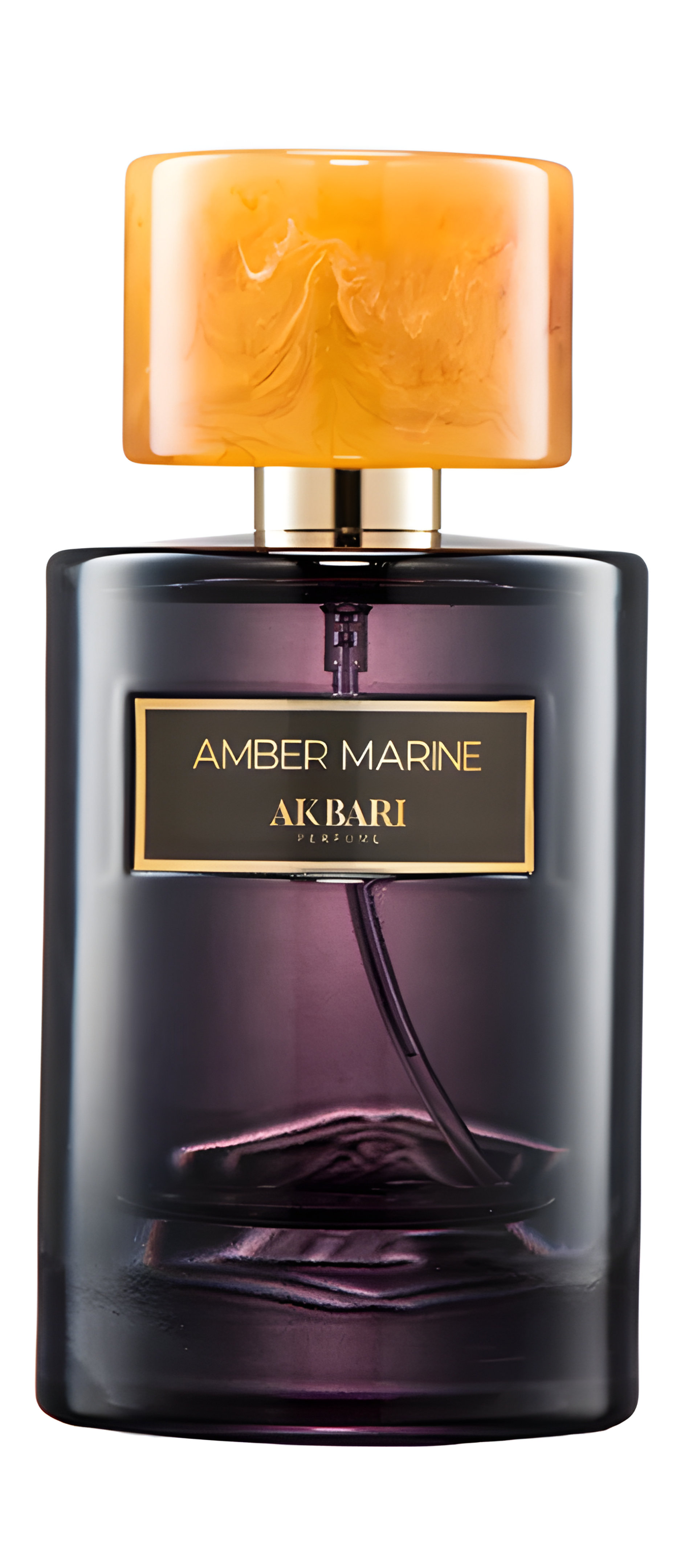 Picture of Amber Marine fragrance