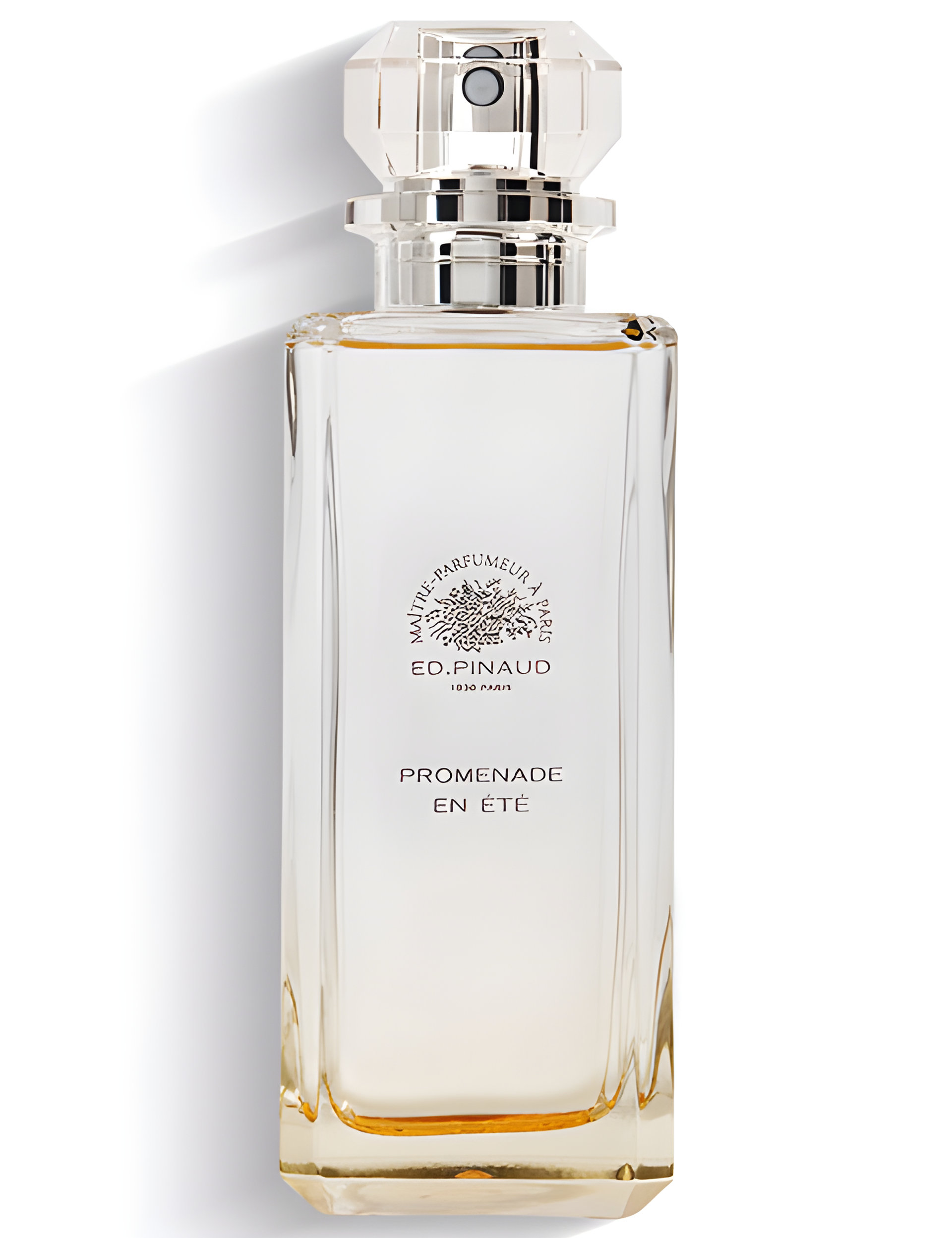 Picture of Promenade en Ete fragrance
