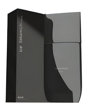 Ice by Sakamichi Noir Men by Sakamichi Parfums perfume bottle