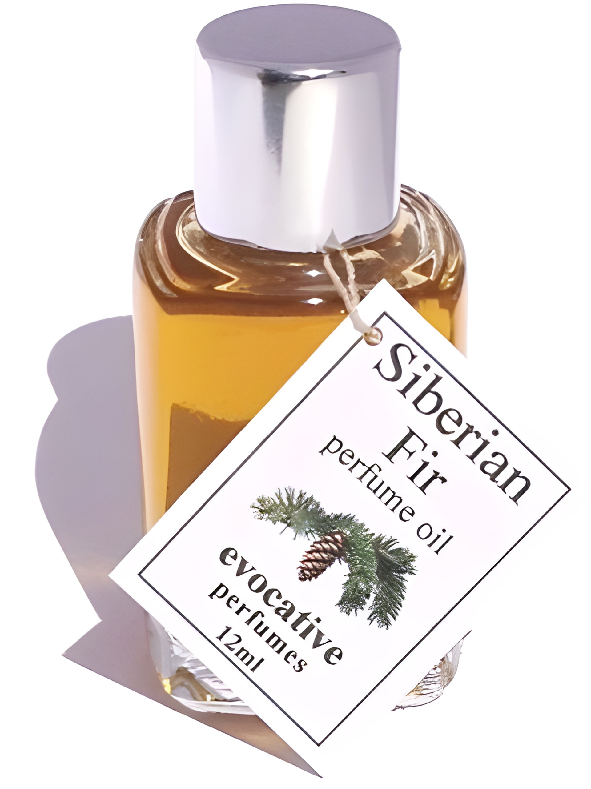 Picture of Siberian Fir fragrance
