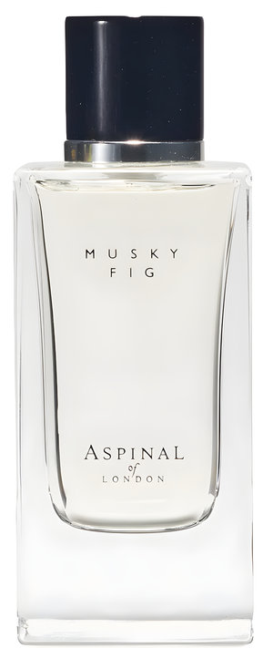 Musky Fig by Aspinal of London perfume bottle