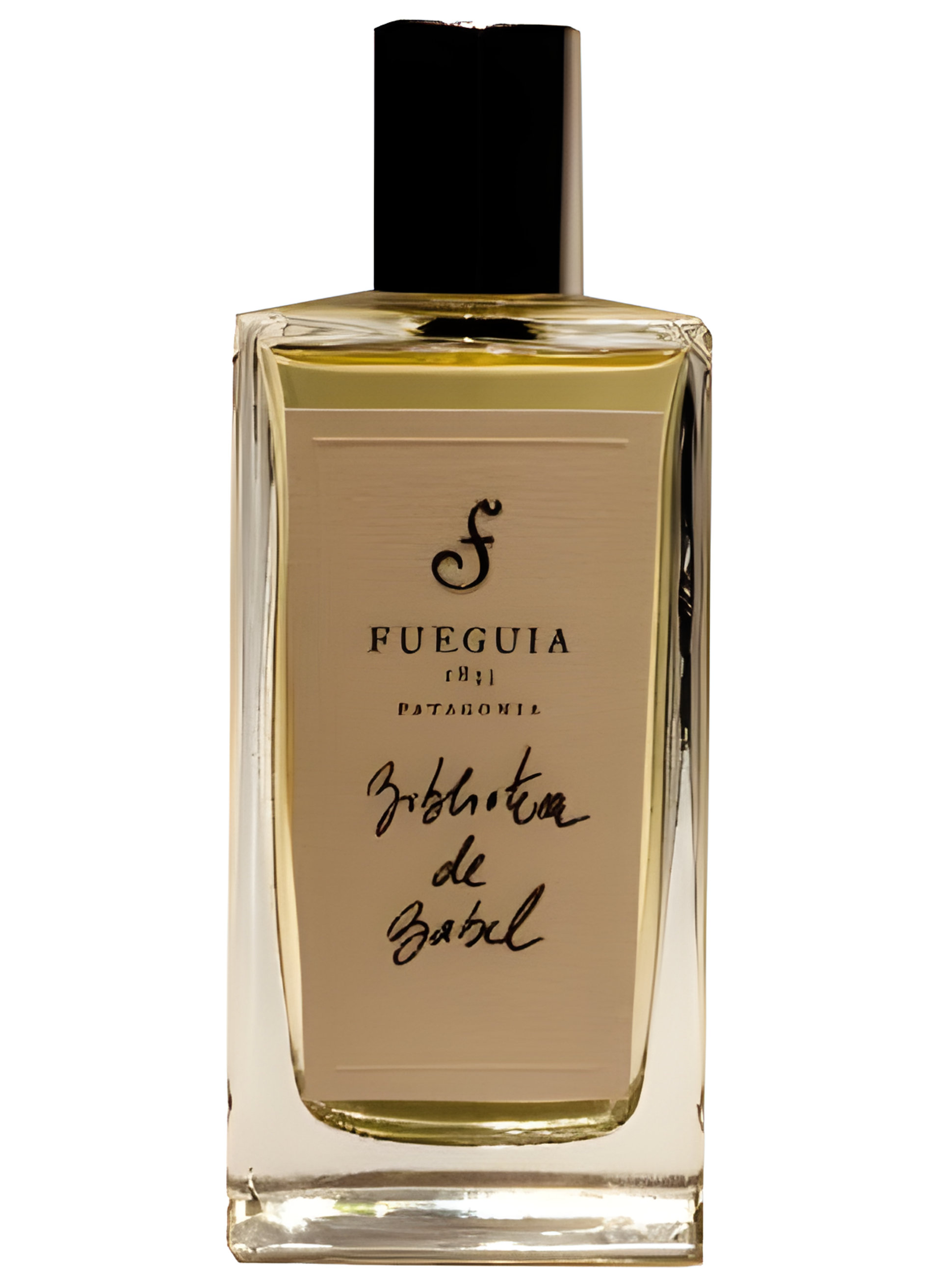 Biblioteca de Babel by Fueguia 1833