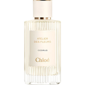 Picture of Cedrus fragrance