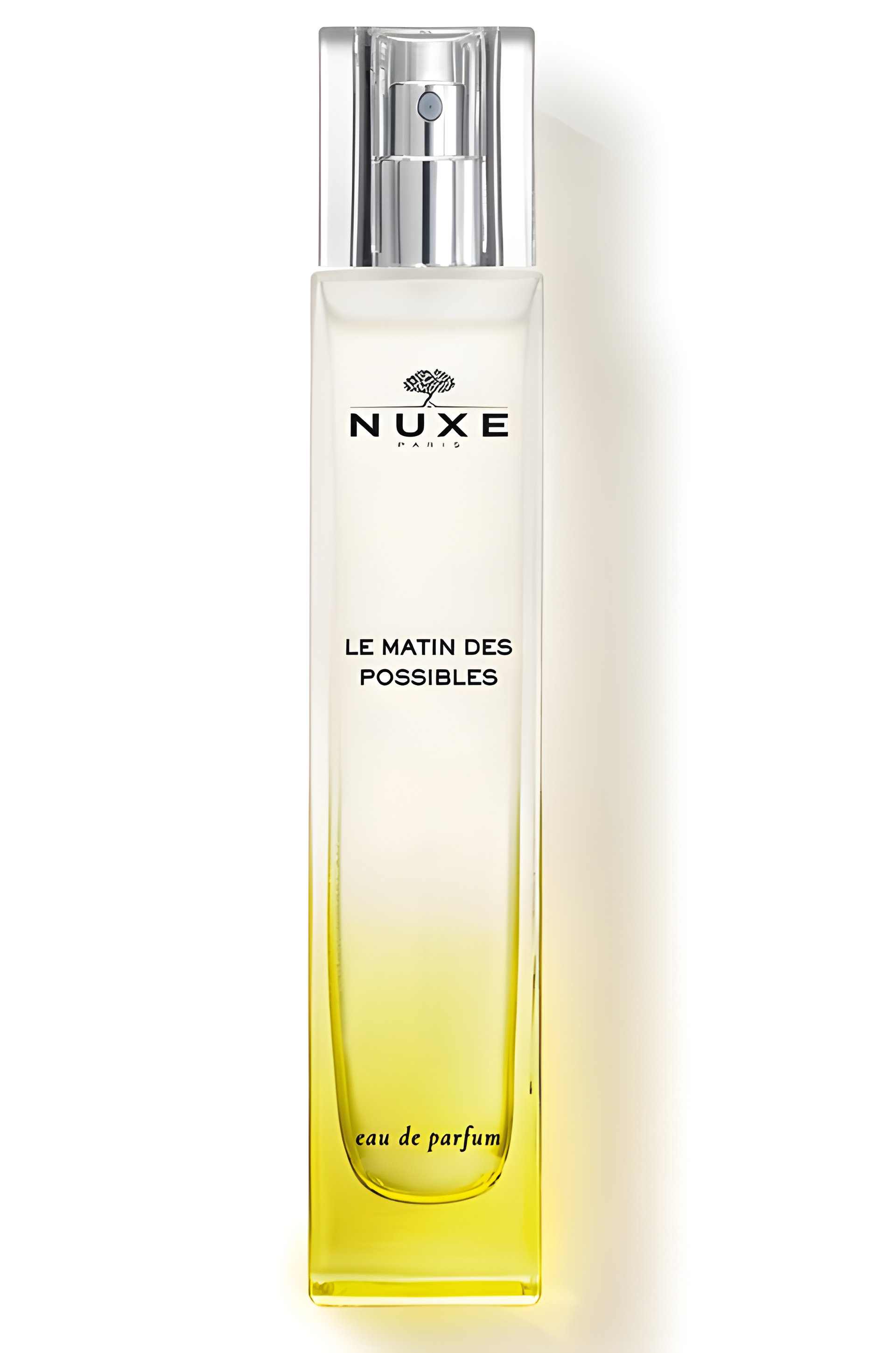 Picture of Le Matin Des Possibles fragrance