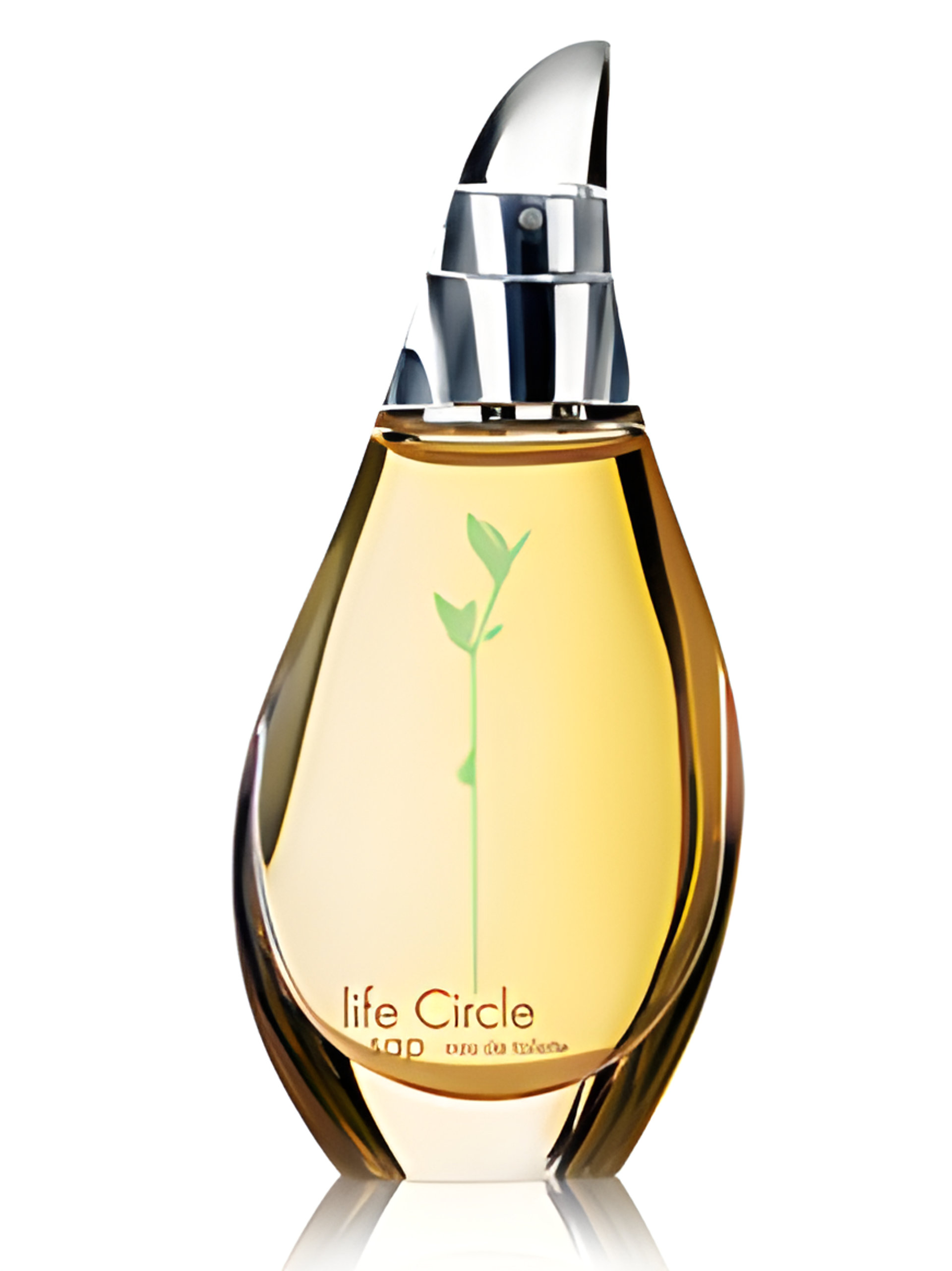 Picture of Life Circle Sap fragrance