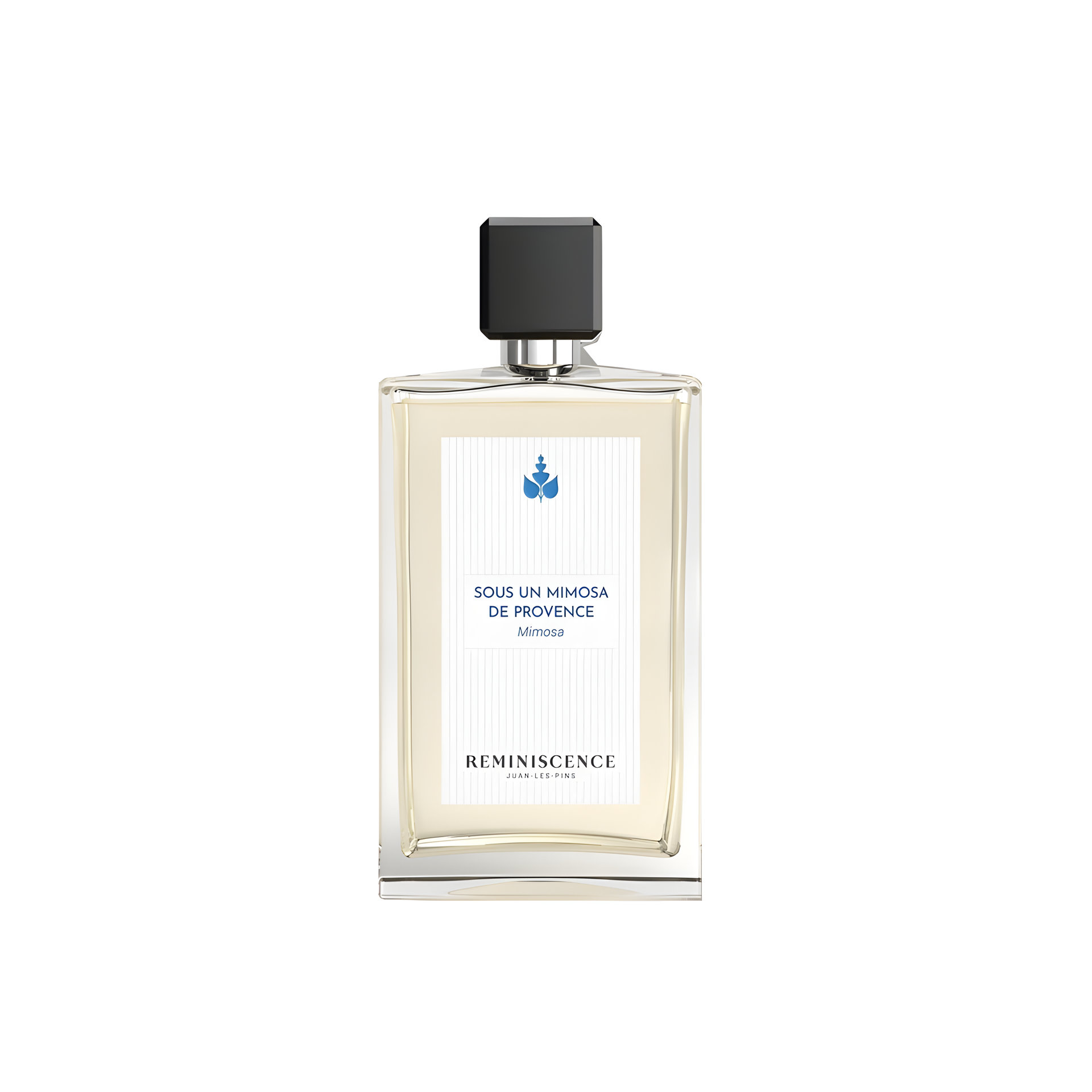 Picture of Sous Un Mimosa de Provence fragrance