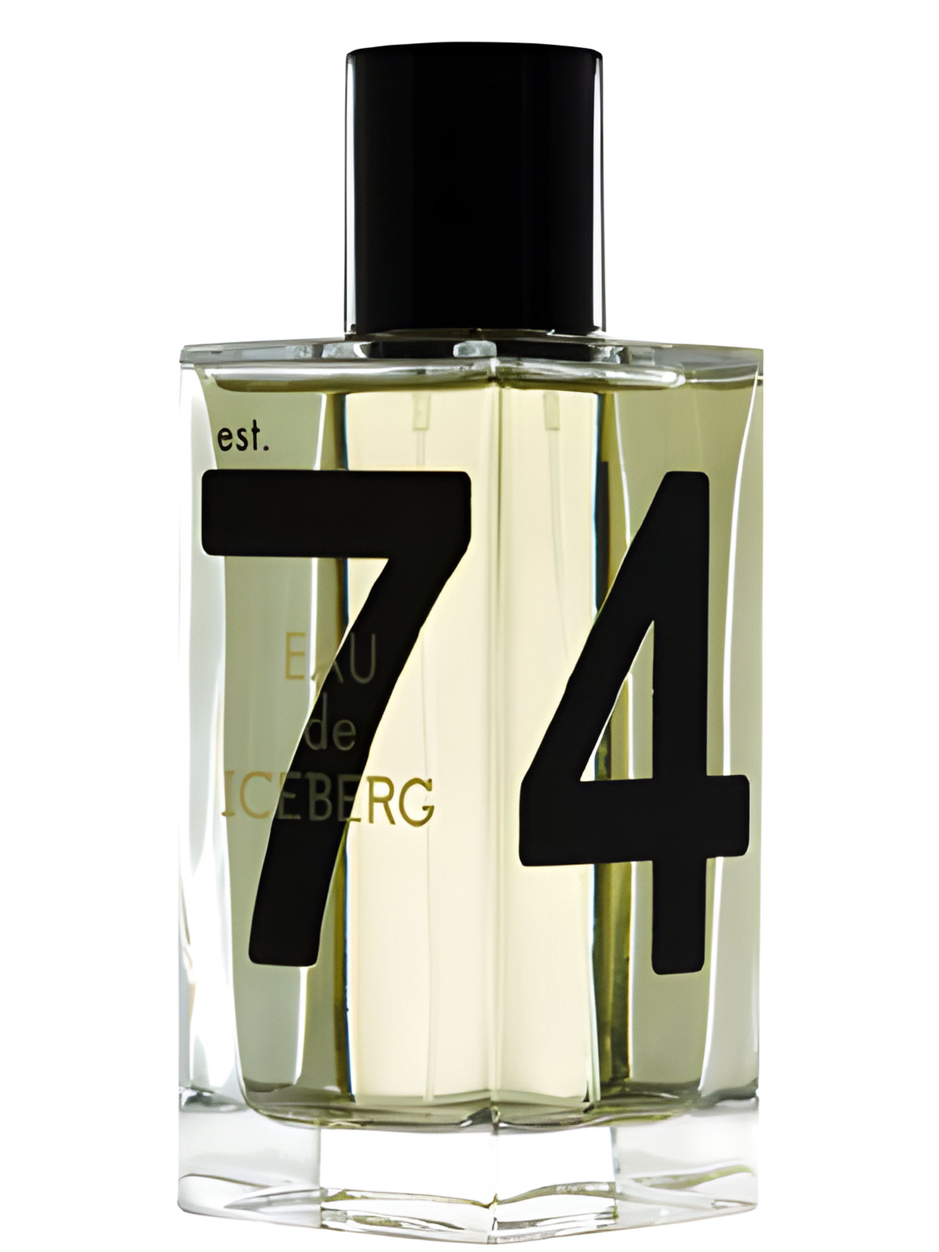 Picture of Eau de Iceberg Pour Homme fragrance