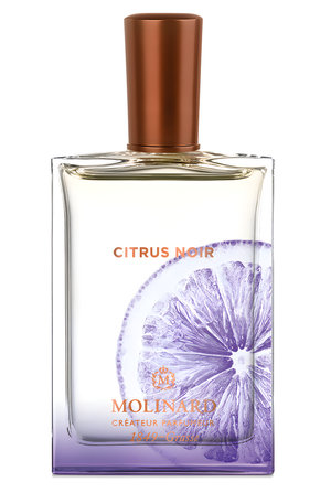 Citrus Noir by Molinard perfume bottle