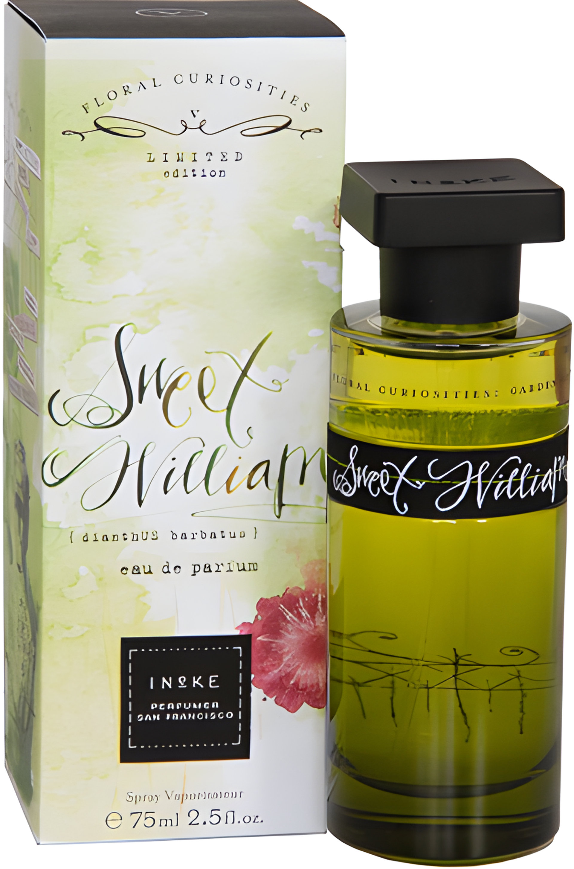 Picture of Sweet William fragrance