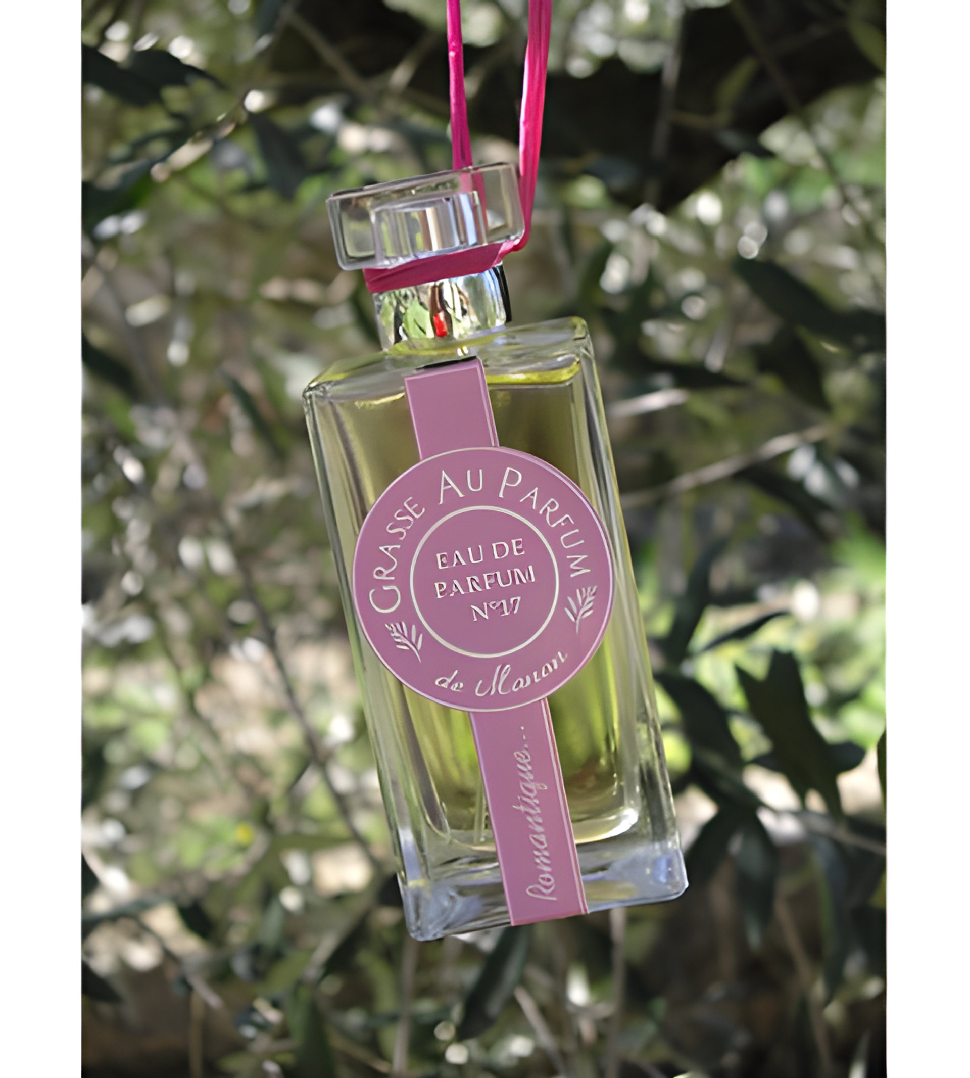 Picture of No 17 Romantique fragrance