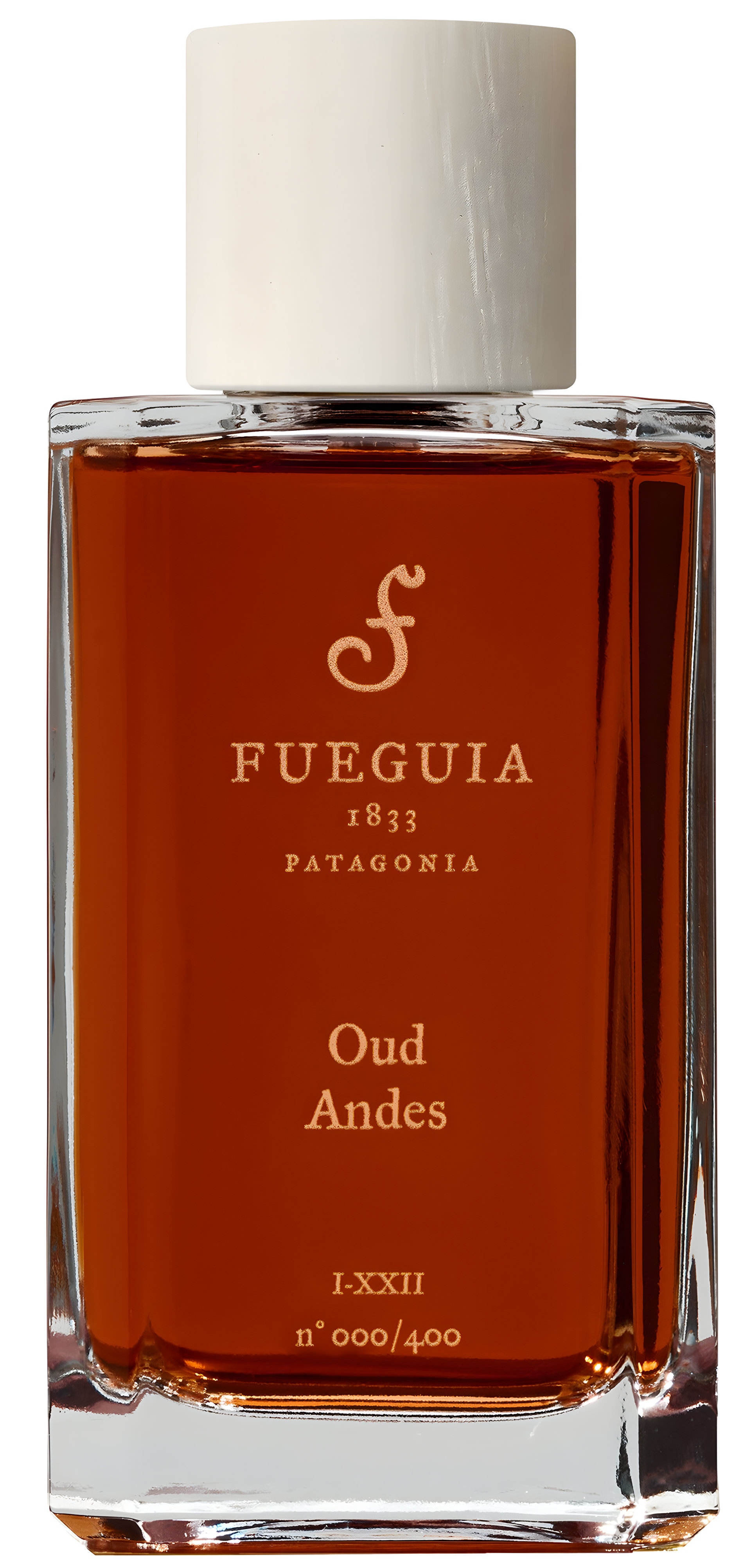 Picture of Oud Andes fragrance