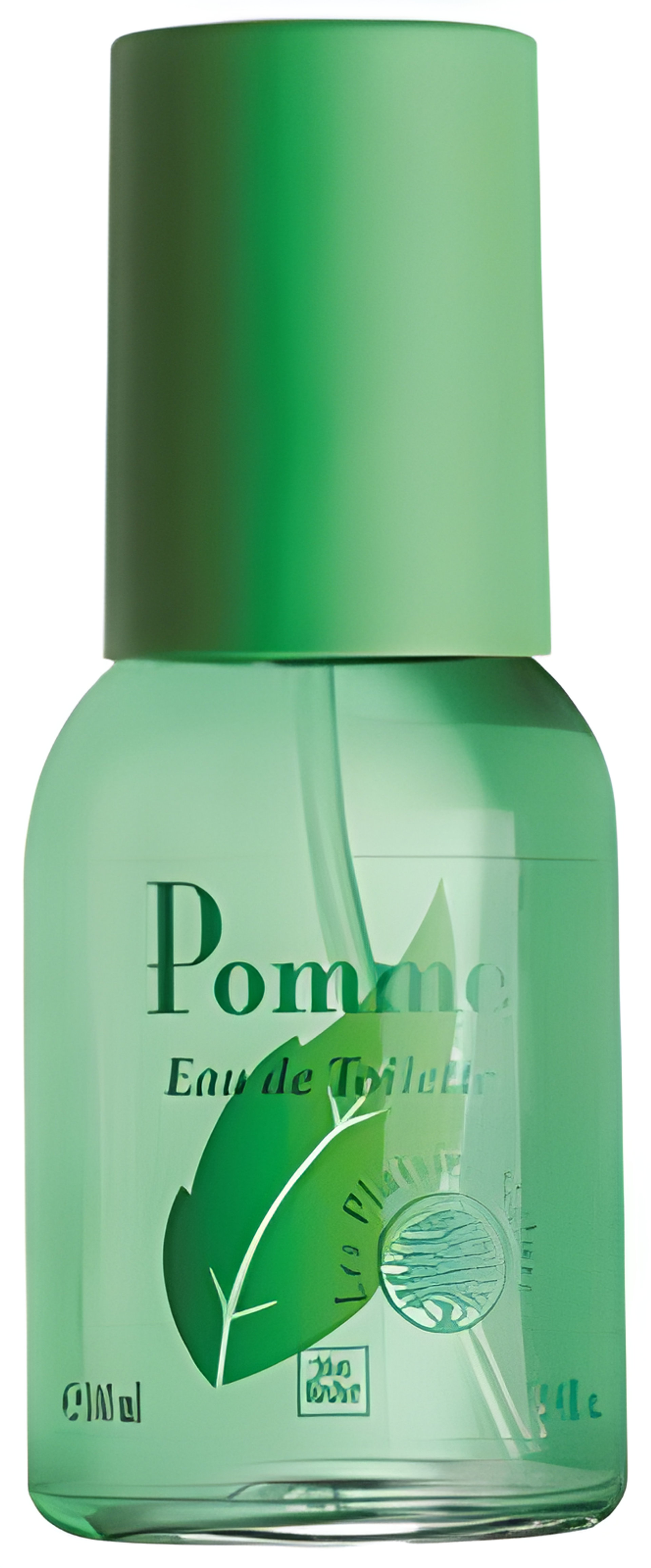 Picture of Pomme fragrance