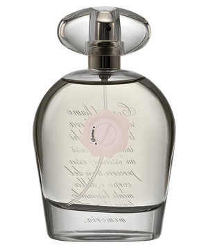 Dama by Flumen Profumi perfume bottle