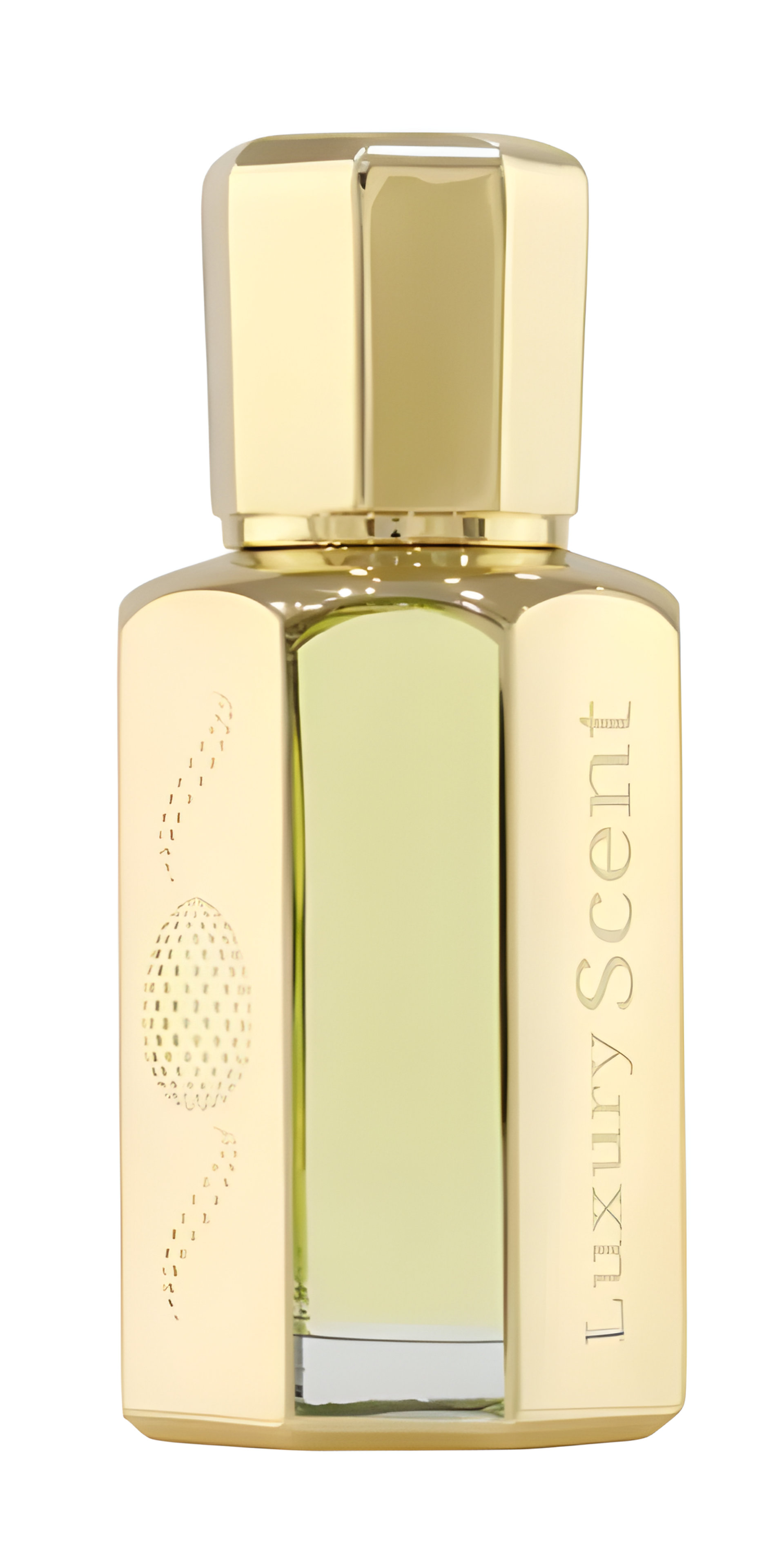 Picture of Wajd fragrance