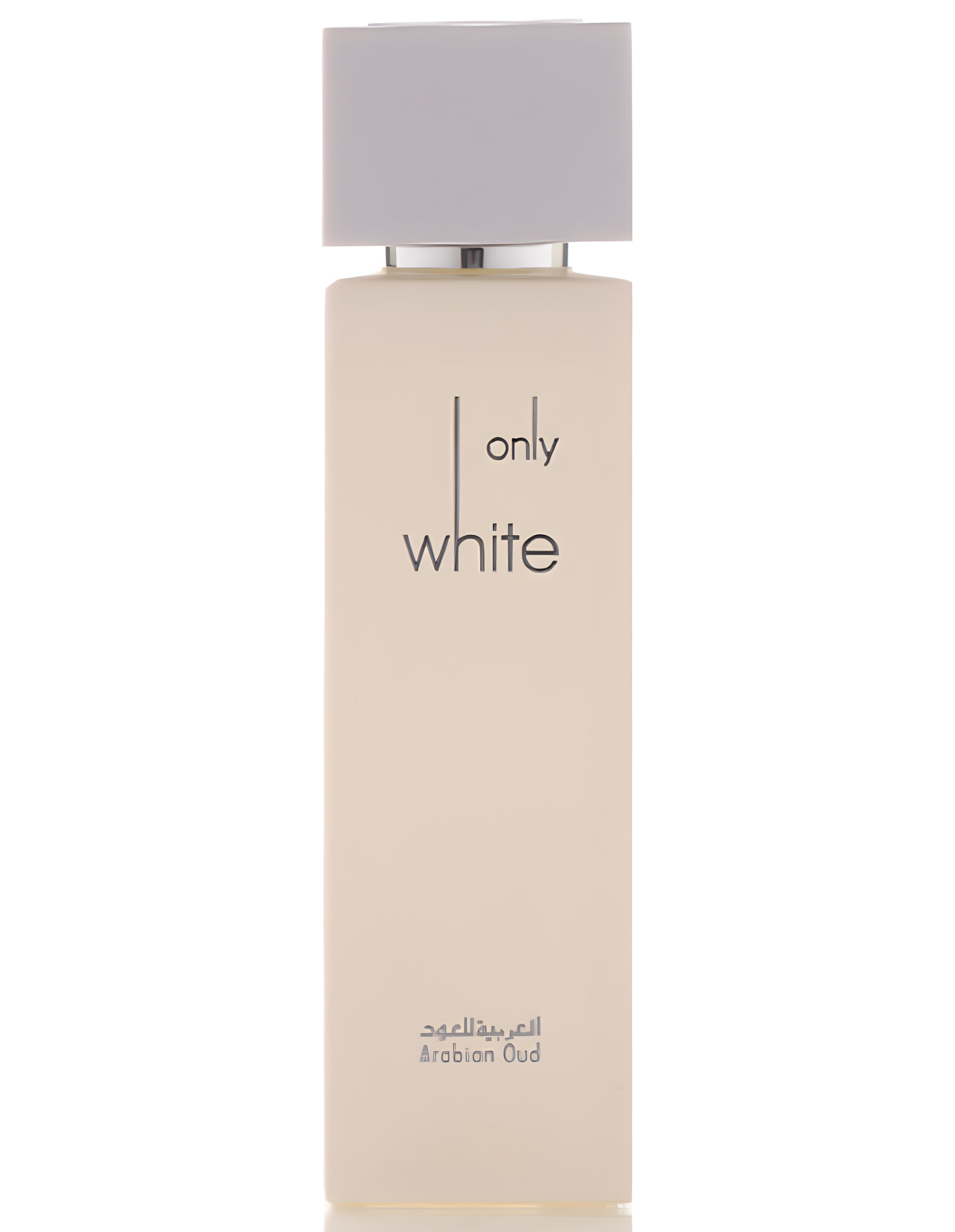 Picture of Only White fragrance