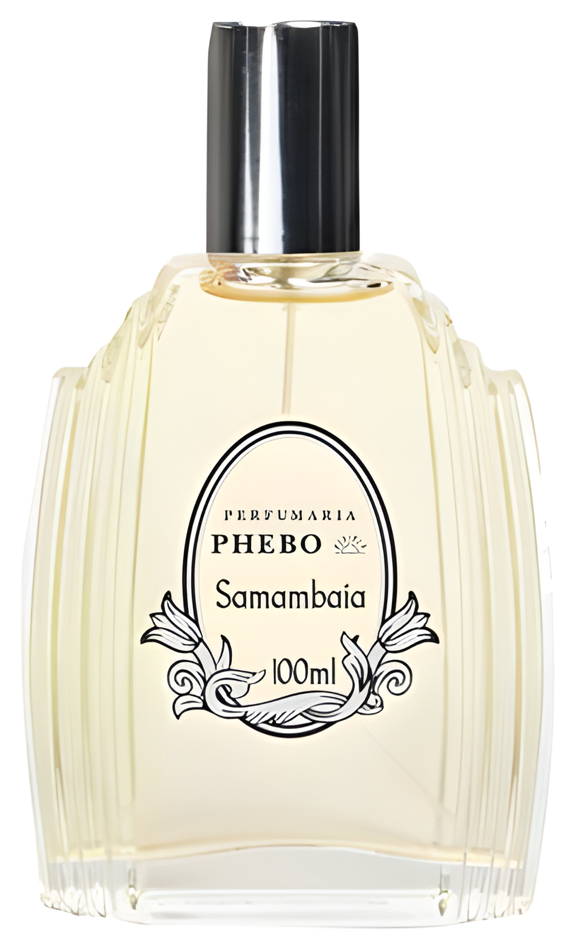 Picture of Samambaia fragrance