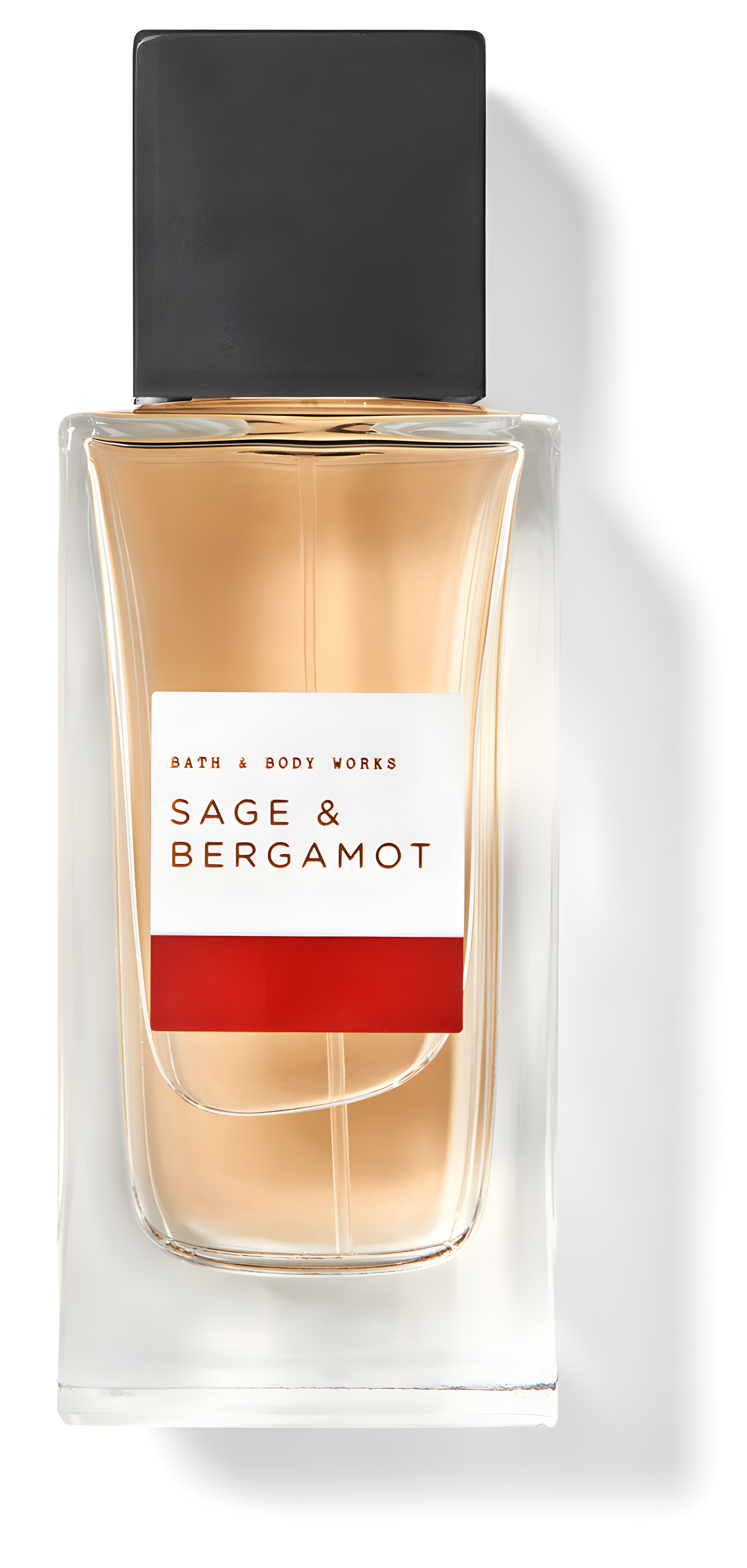 Picture of Sage & Bergamot fragrance