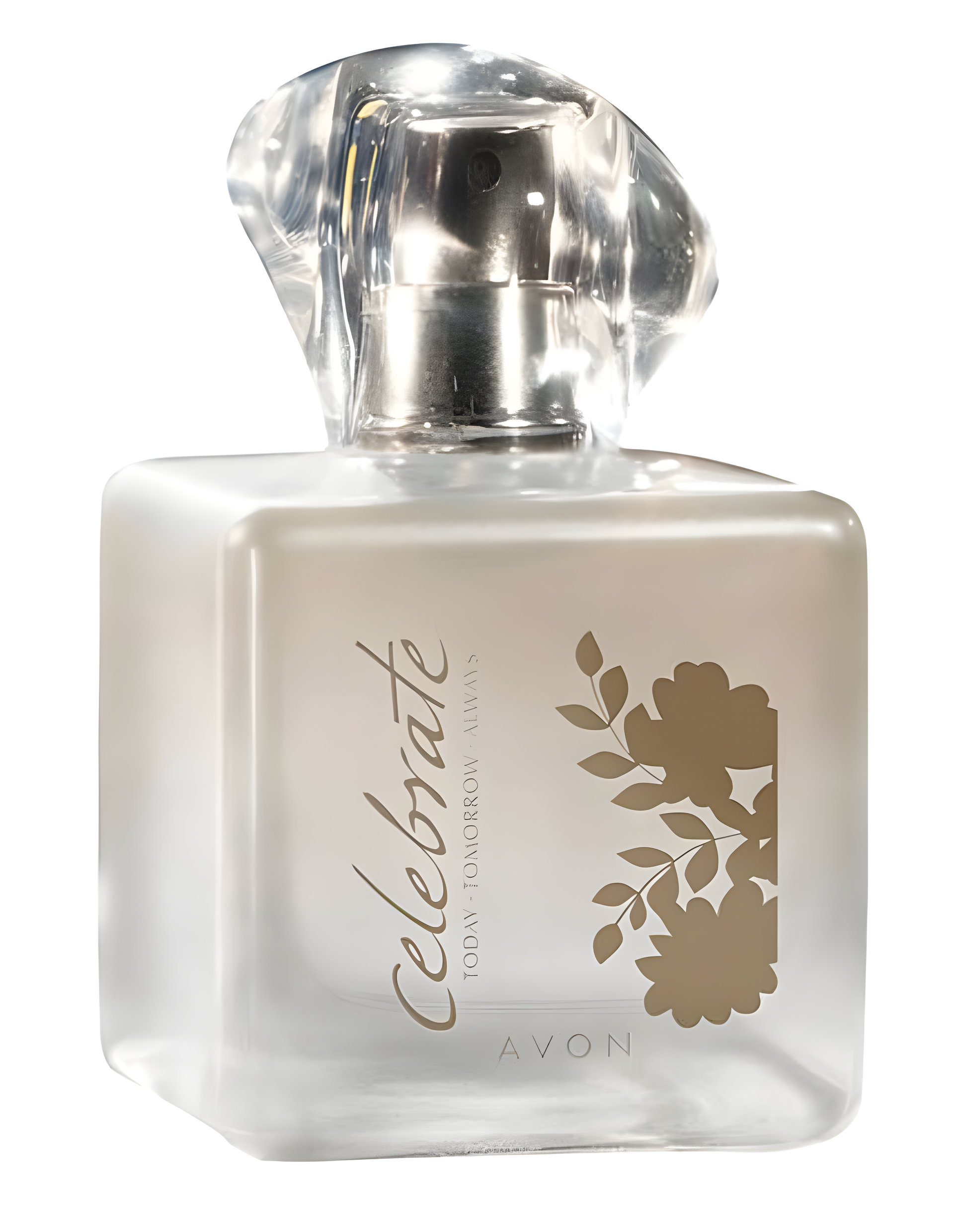 Picture of Today Tomorrow Always Celebrate fragrance