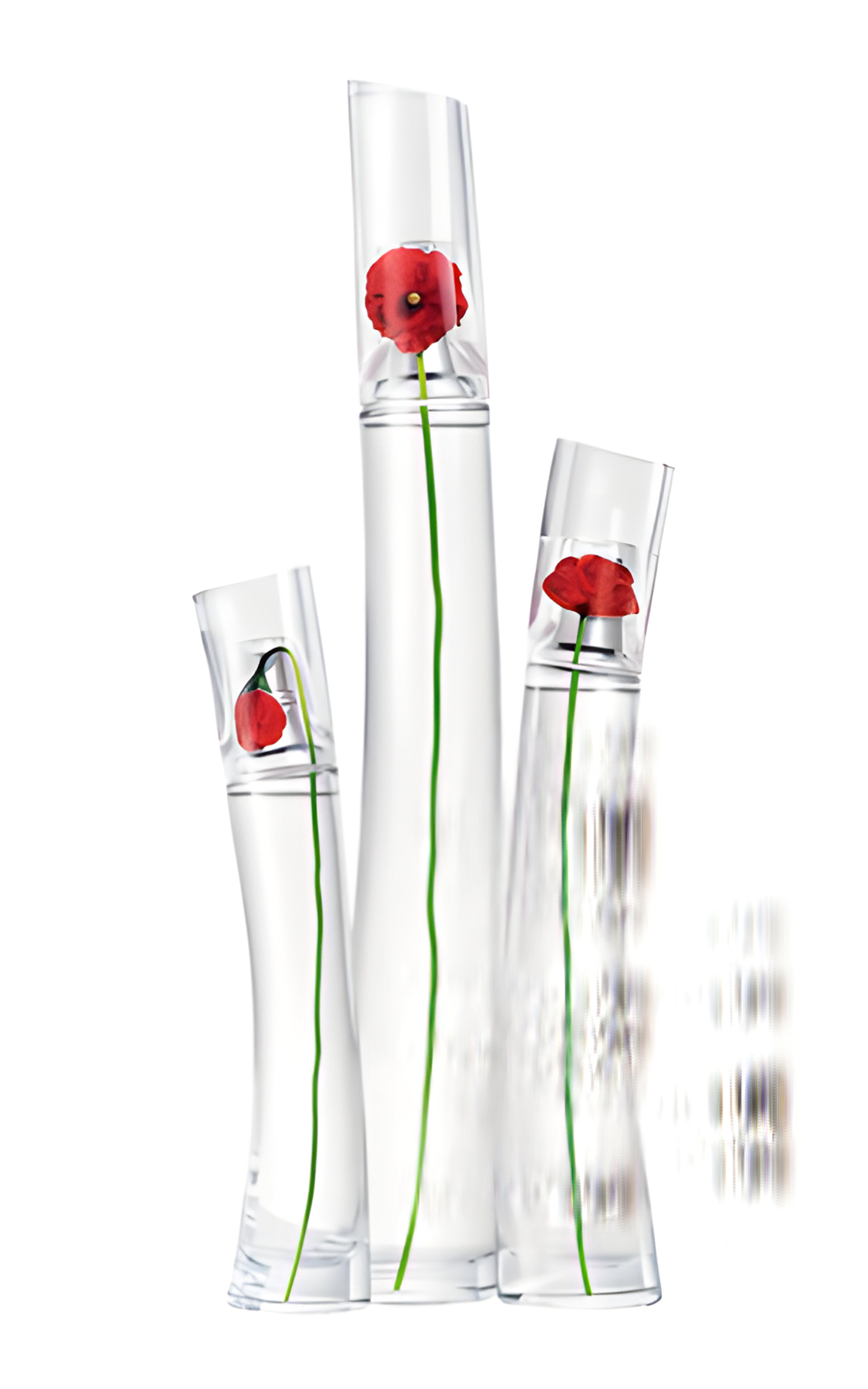 Picture of Flower by Kenzo Eau de Toilette fragrance