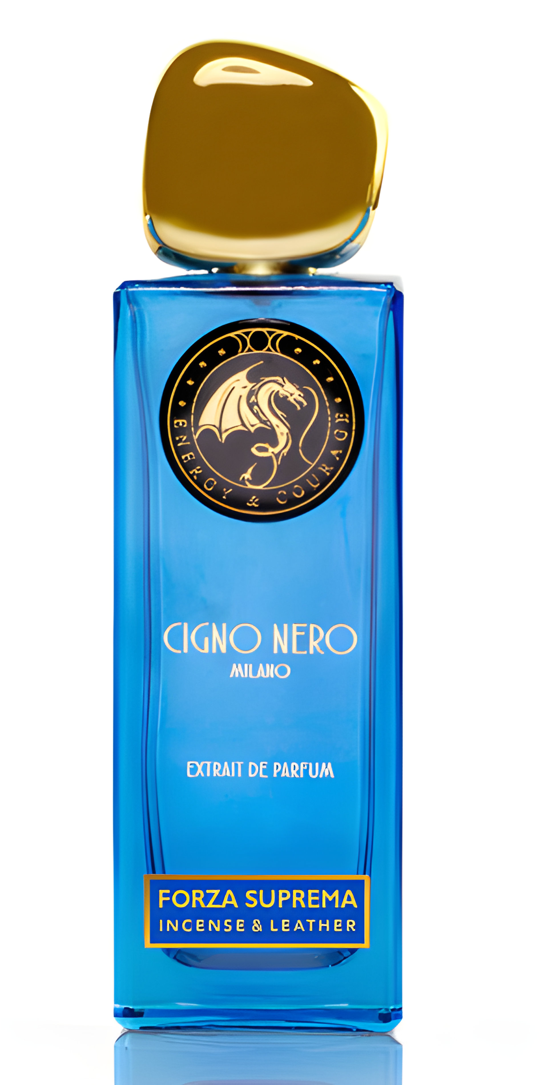 Picture of Forza Suprema fragrance