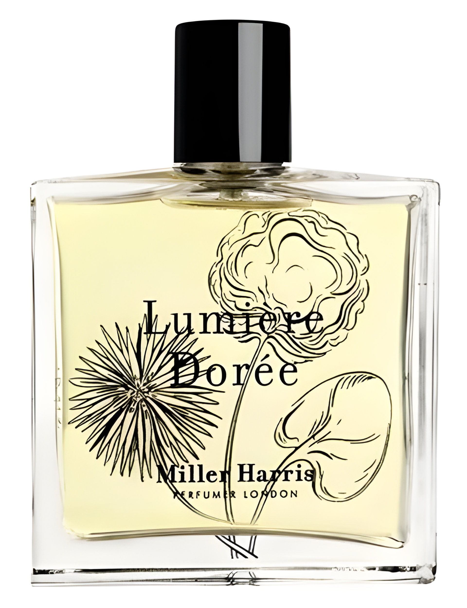 Picture of Lumière Dorée fragrance