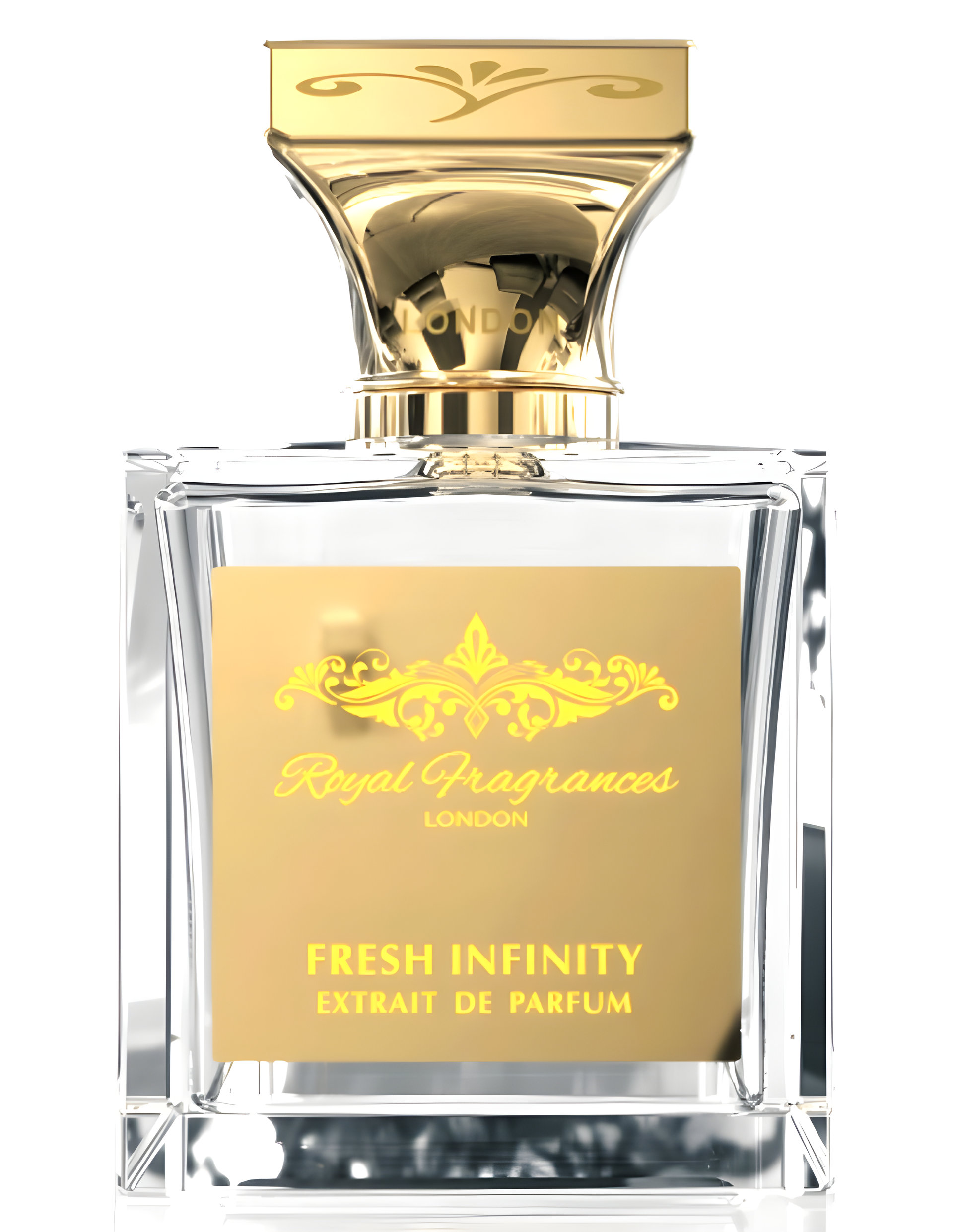 Picture of Fresh Infinity fragrance