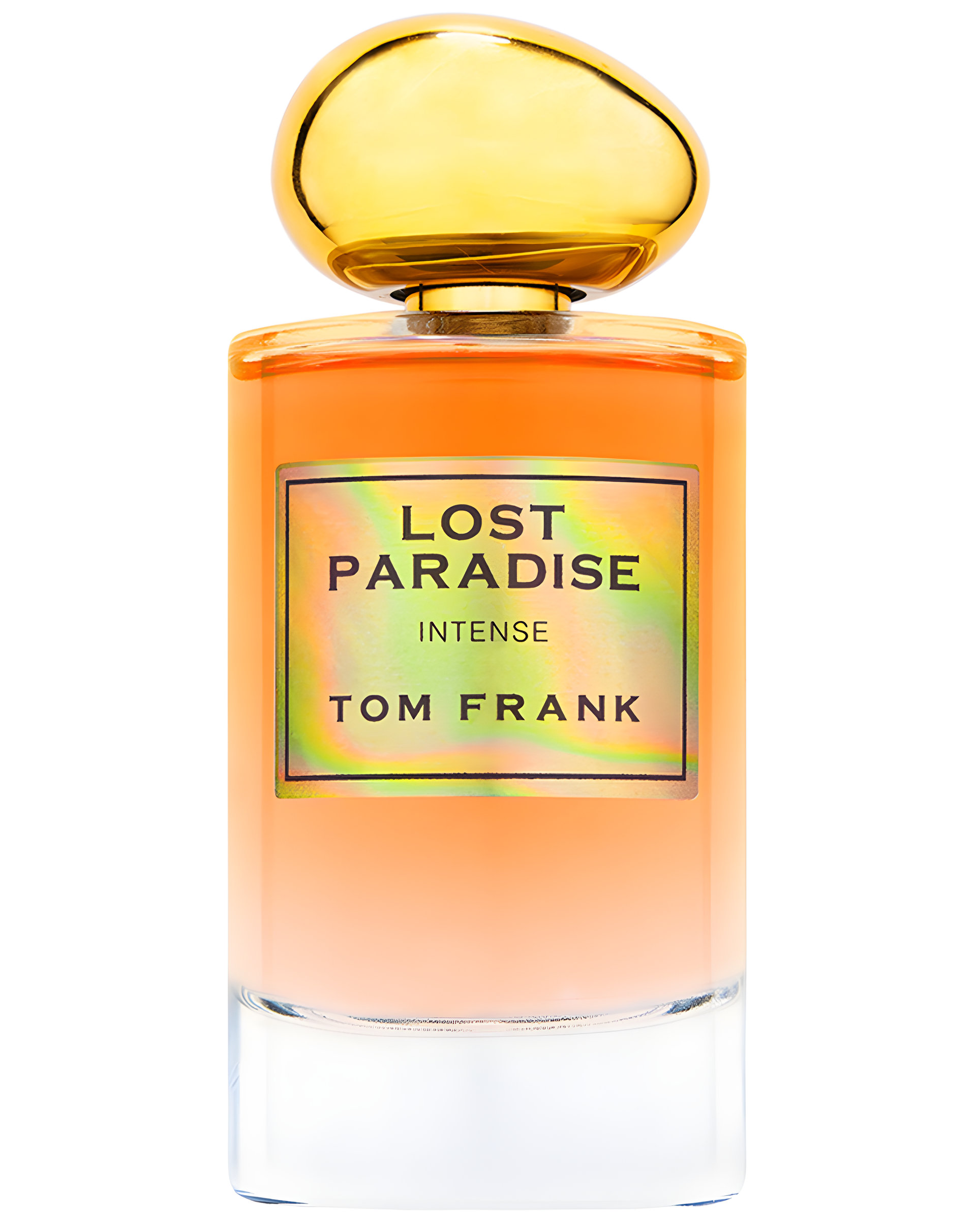 Picture of Lost Paradise fragrance