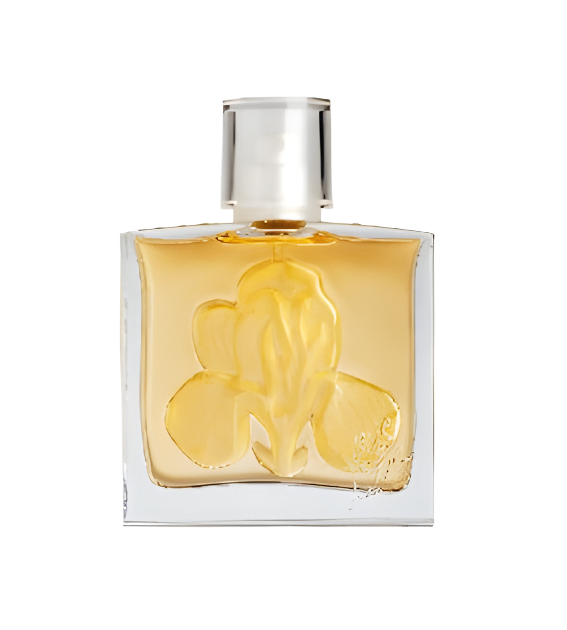 Picture of Iris in Love fragrance