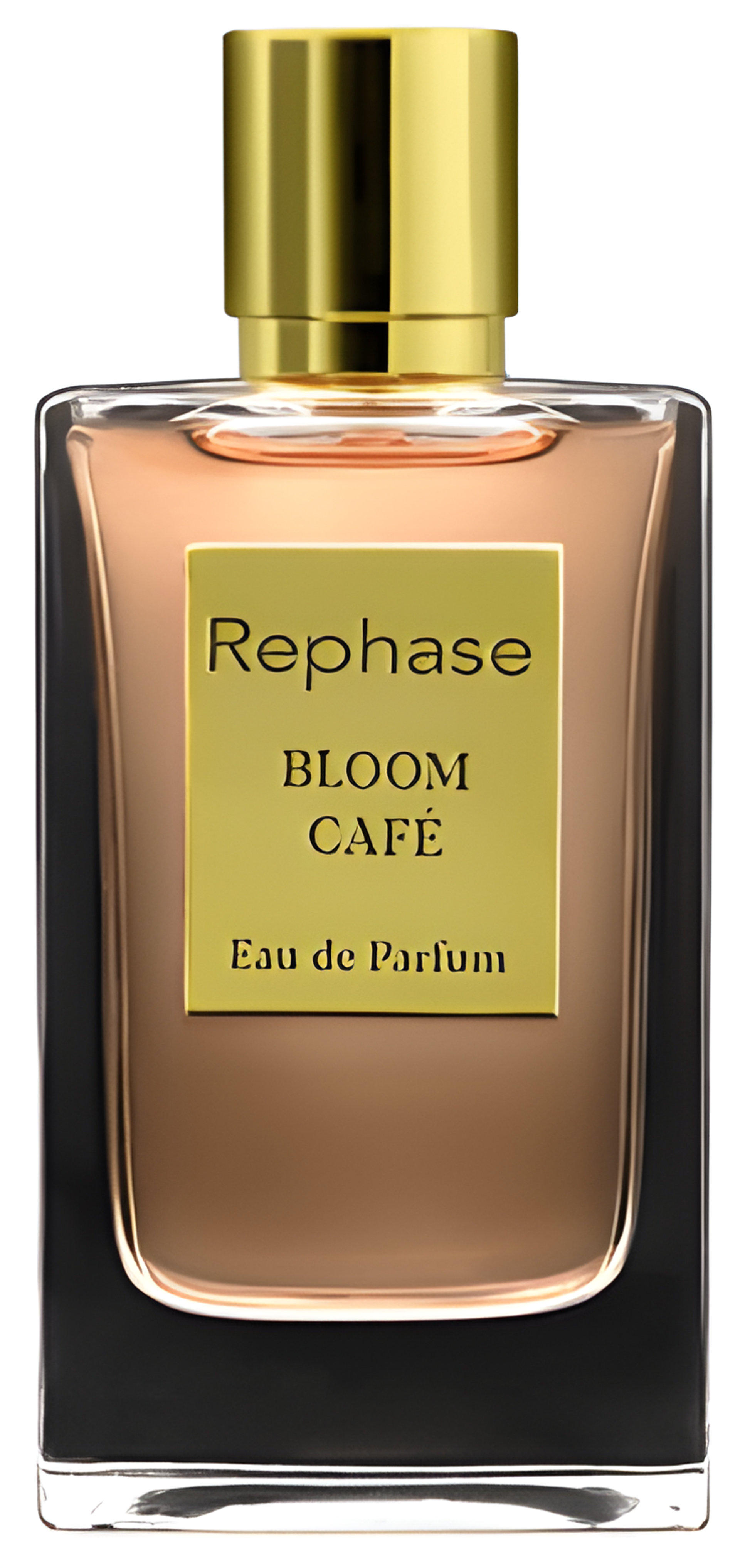 Picture of Bloom Café fragrance
