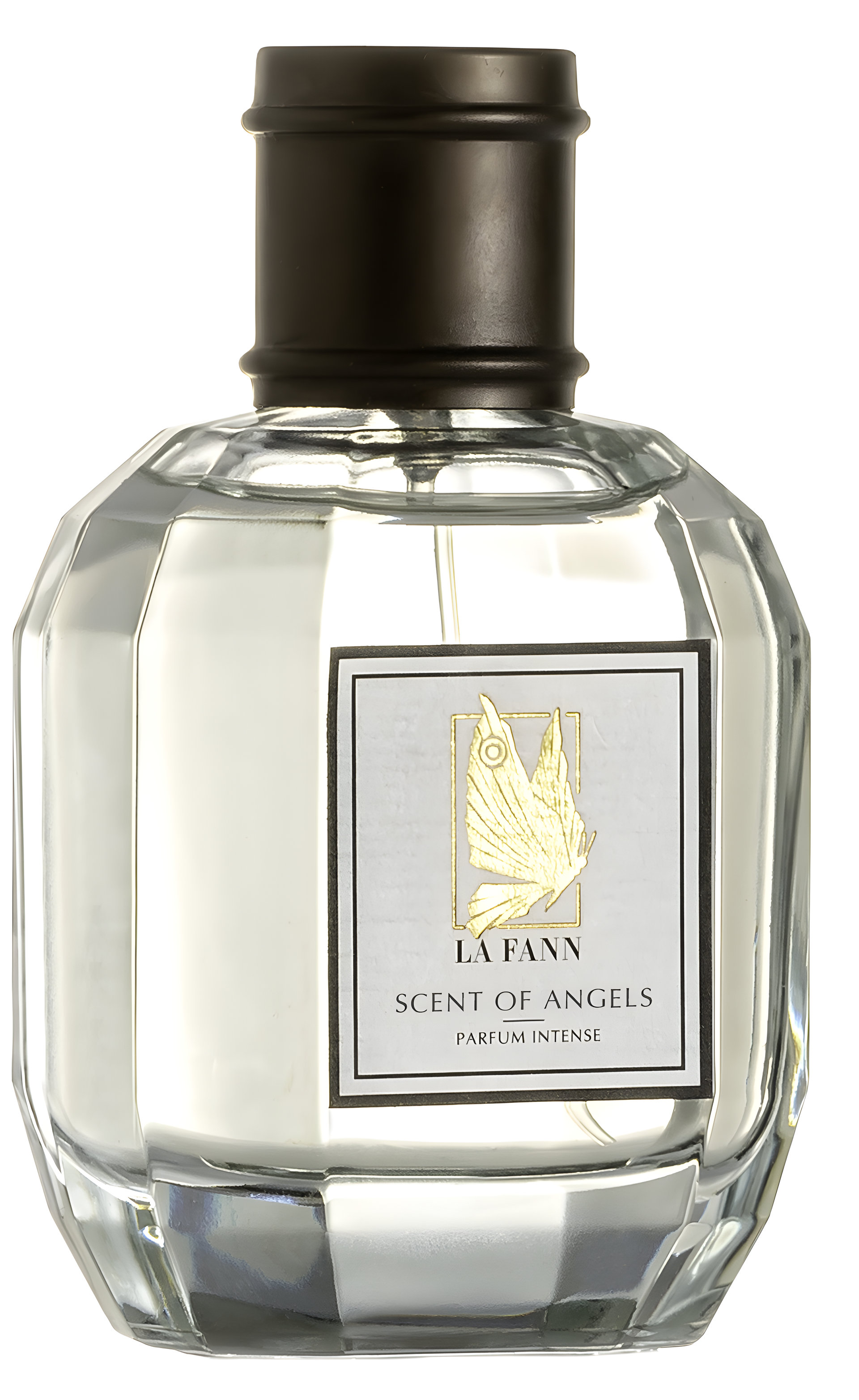 Picture of Scent of Angels fragrance