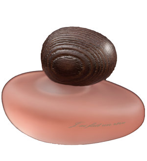 J'ai Fait Un Rêve Clair by Majda Bekkali perfume bottle