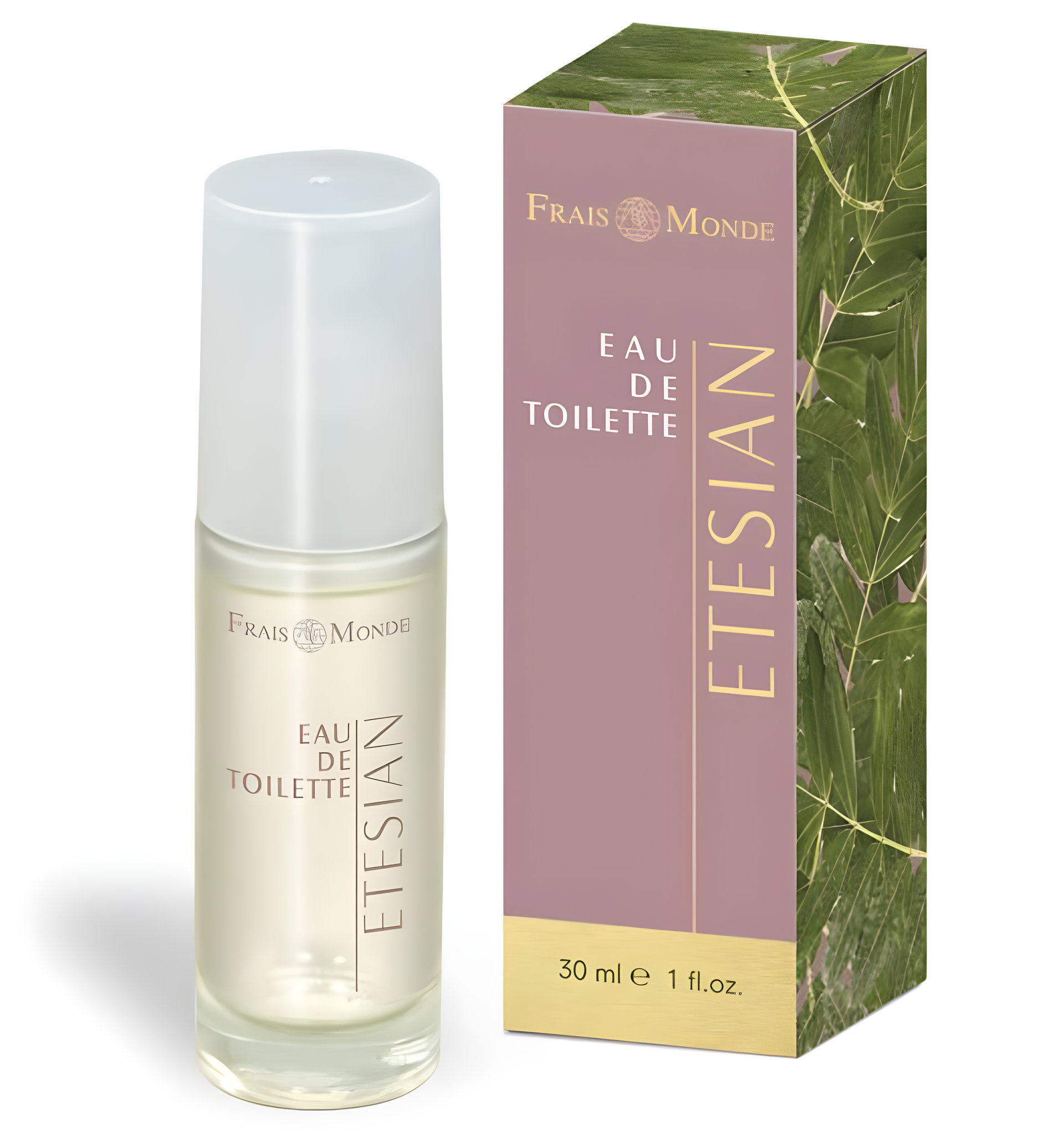 Picture of Etesian fragrance