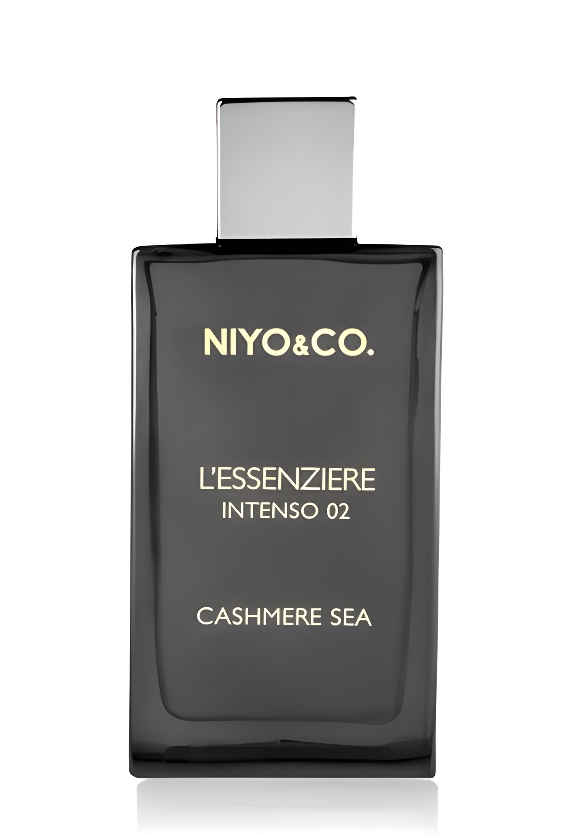 Picture of L'essenziere Intenso 02 Cashmere Sea fragrance