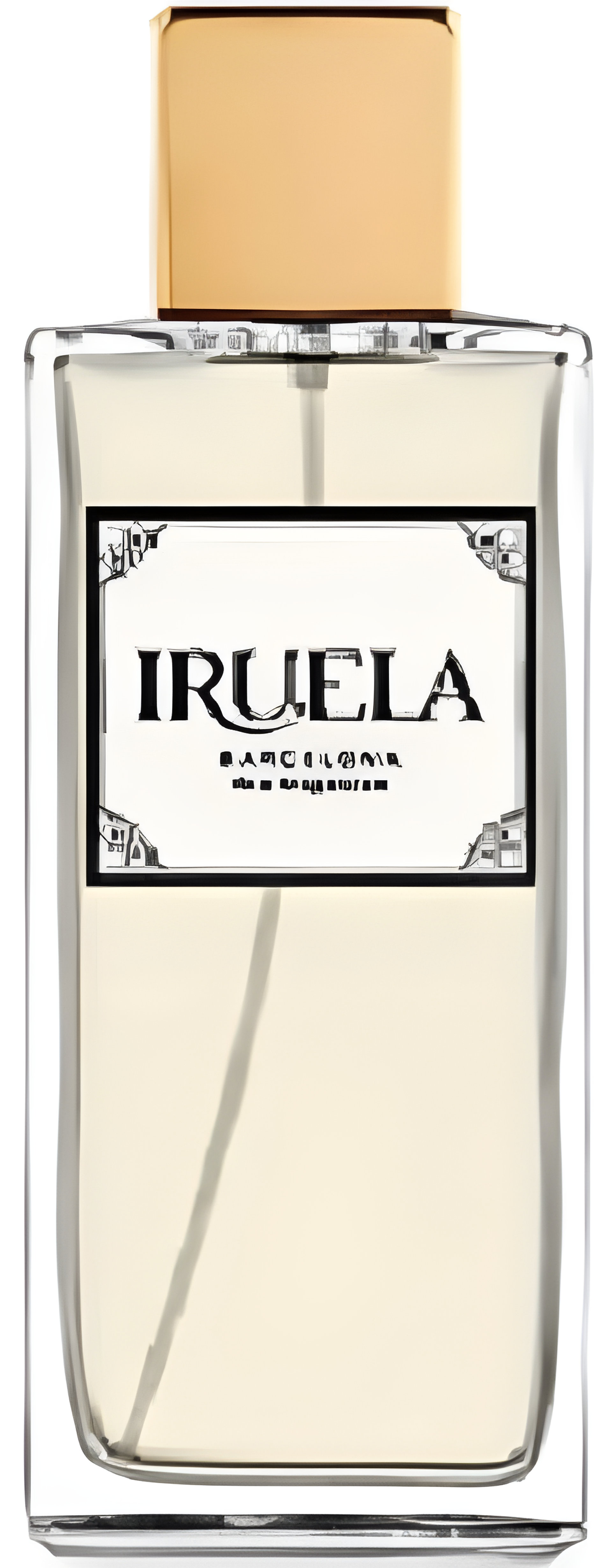 Picture of Saline & Woody Mediterranean fragrance