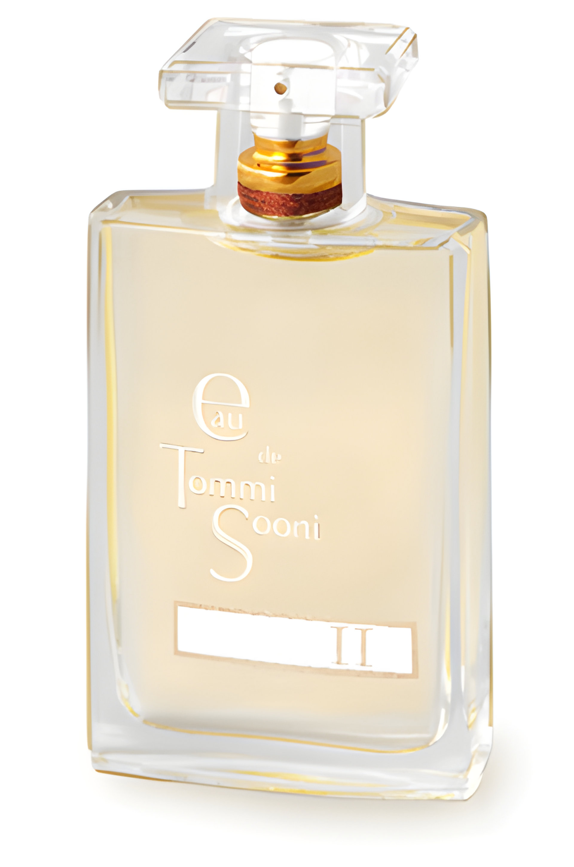 Picture of Eau de Tommi Sooni II fragrance