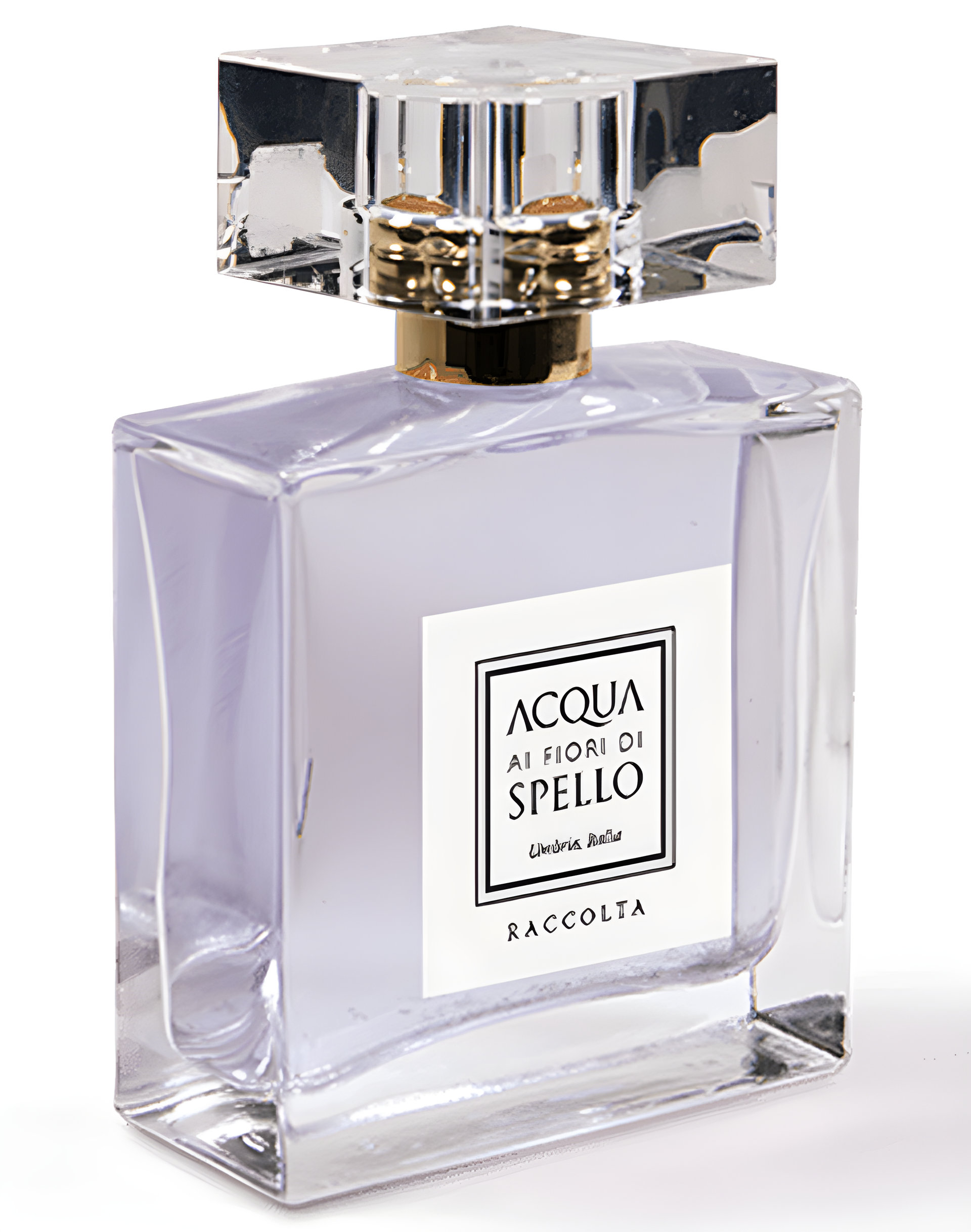 Picture of Raccolta fragrance