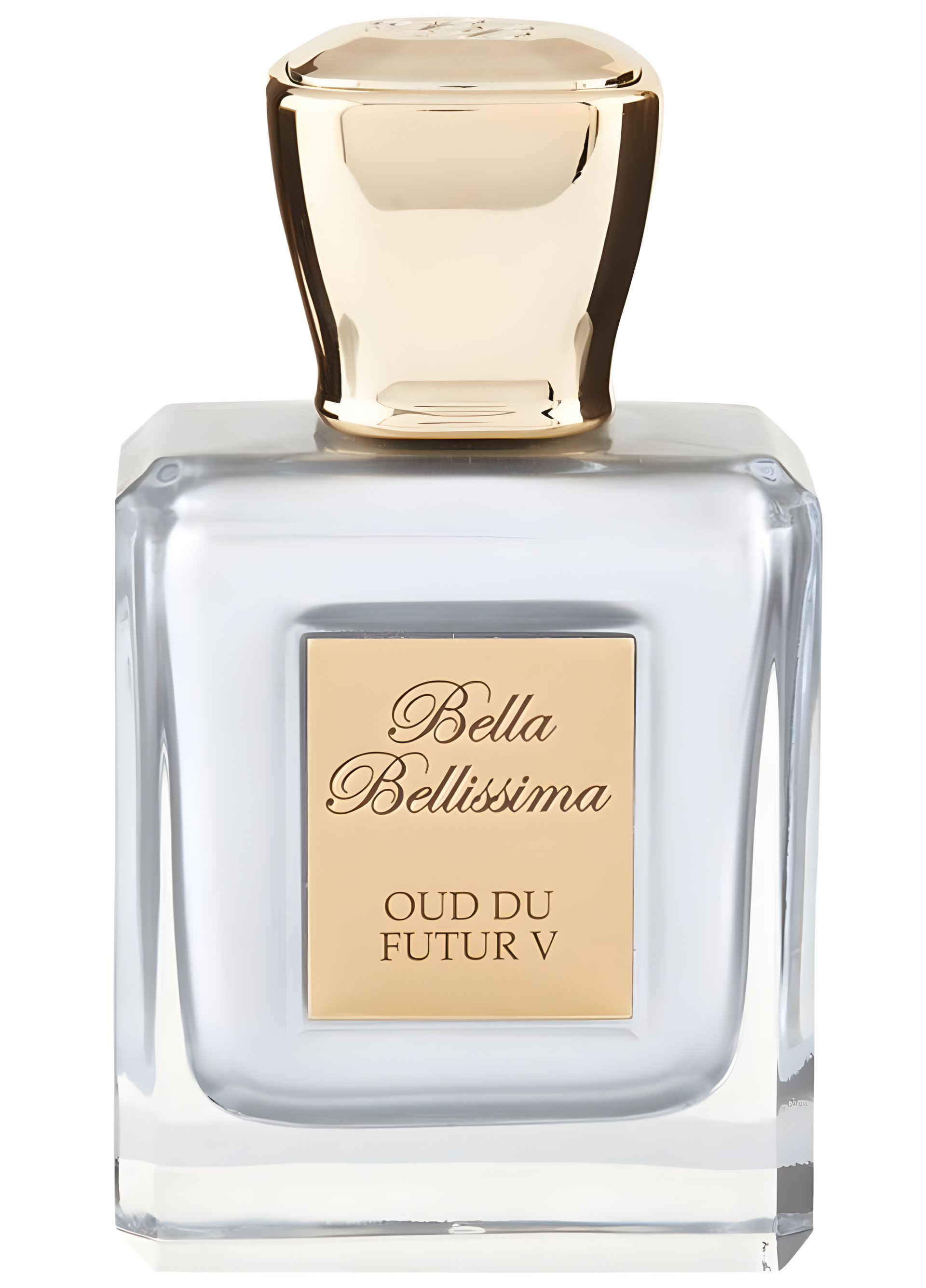 Picture of Oud Du Futur v fragrance