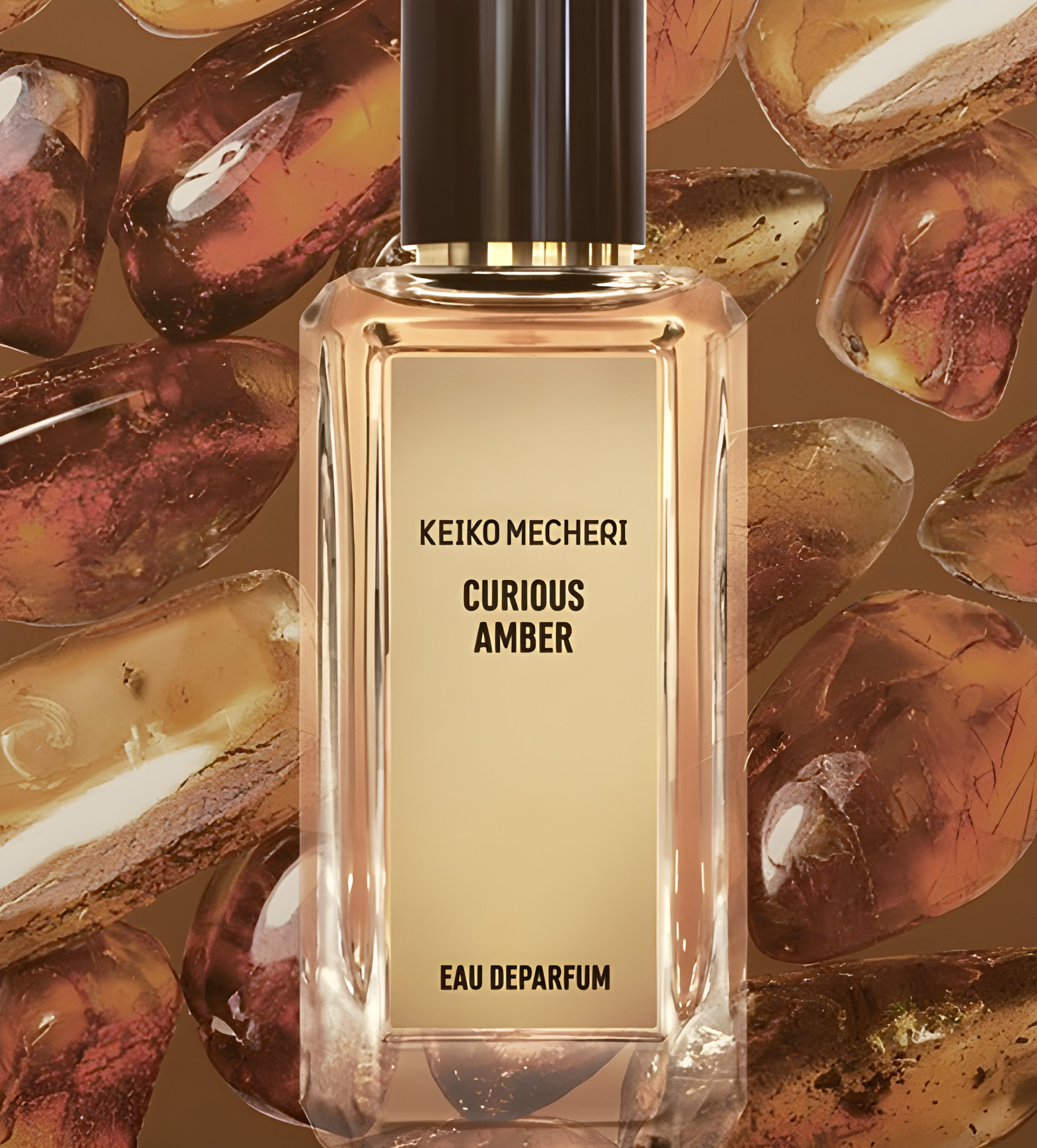 Picture of Curious Amber fragrance