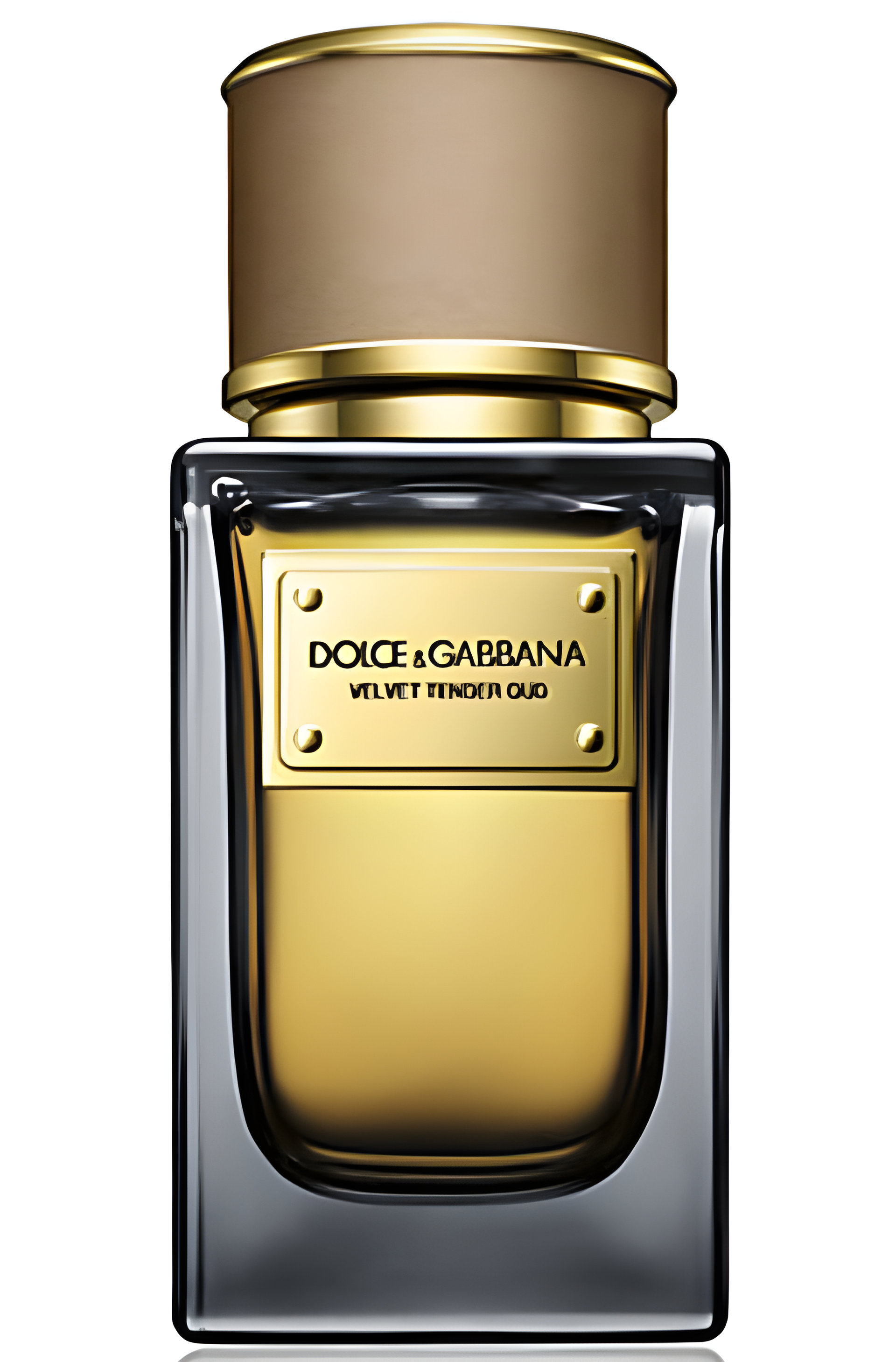 Velvet Tender Oud by Dolce&Gabbana