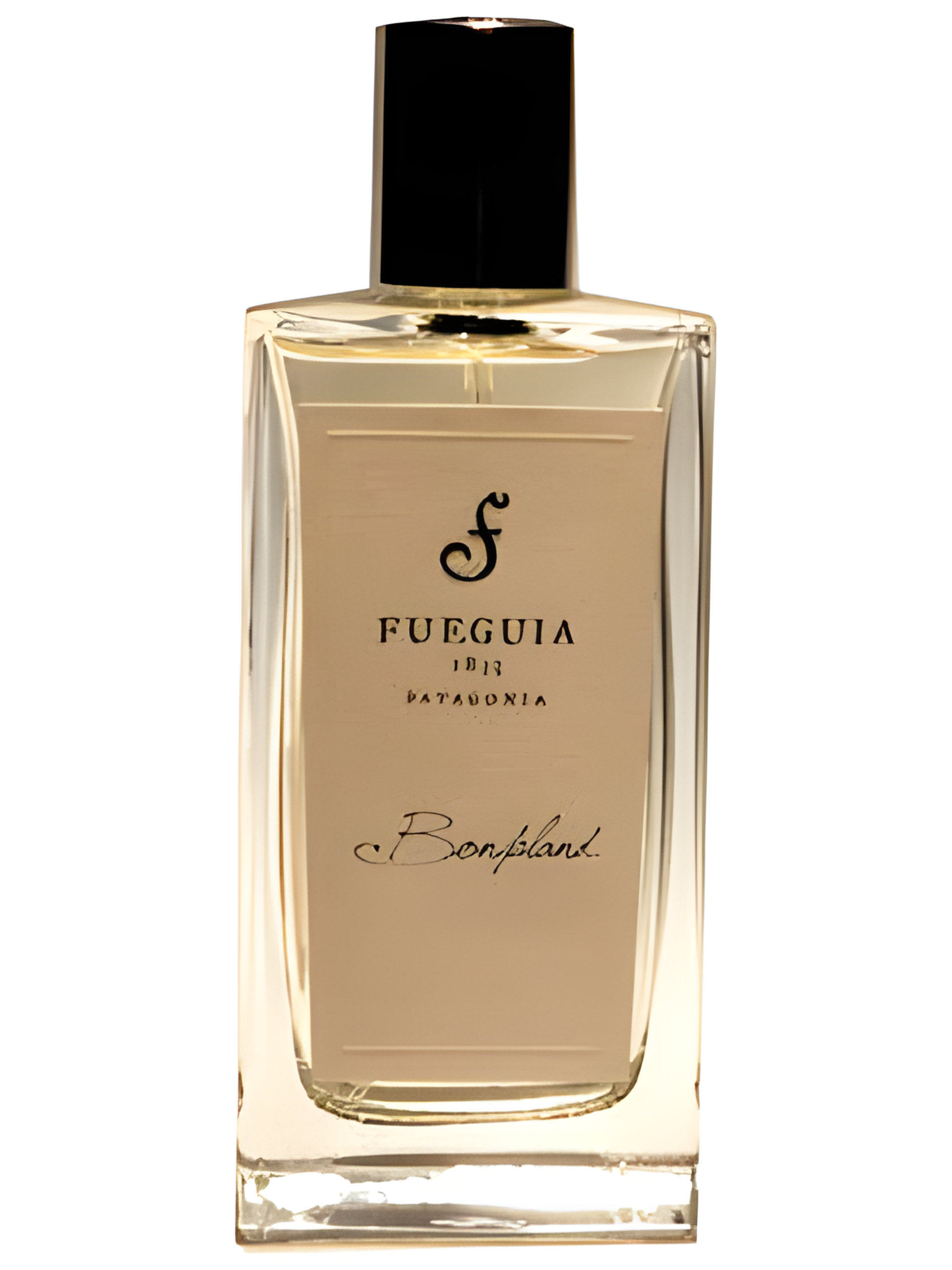 Picture of Bonpland fragrance