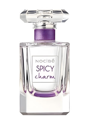 Spicy Charm by Nocibé perfume bottle