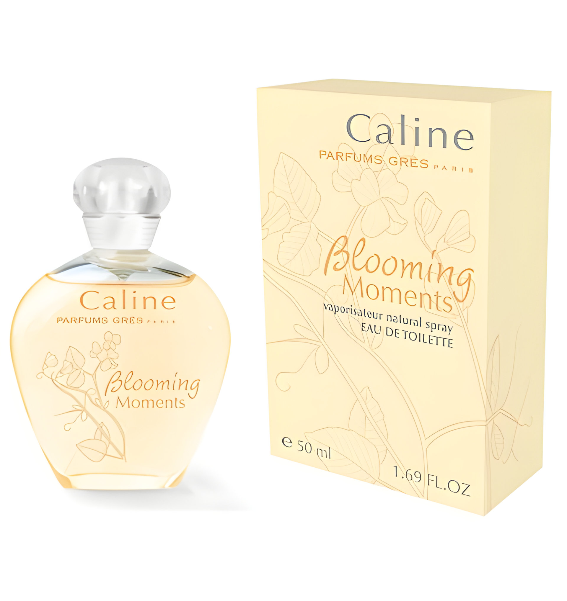 Picture of Caline Blooming Moments fragrance