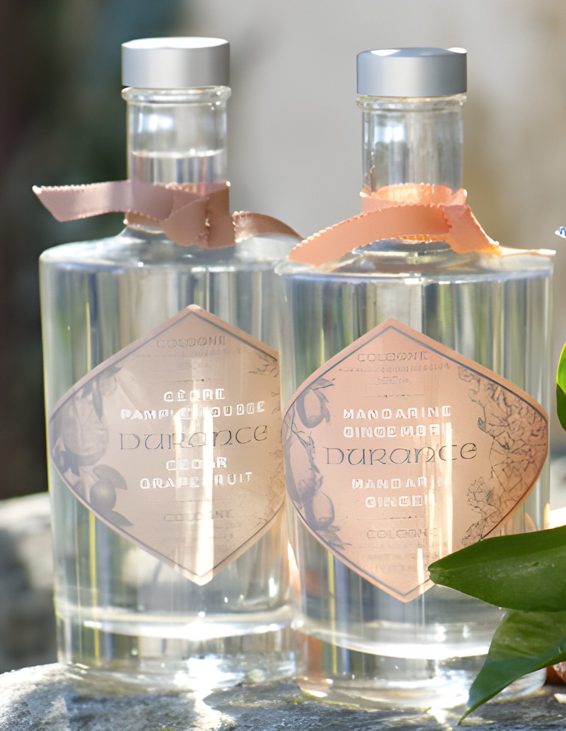 Picture of Mandarin and Ginger fragrance